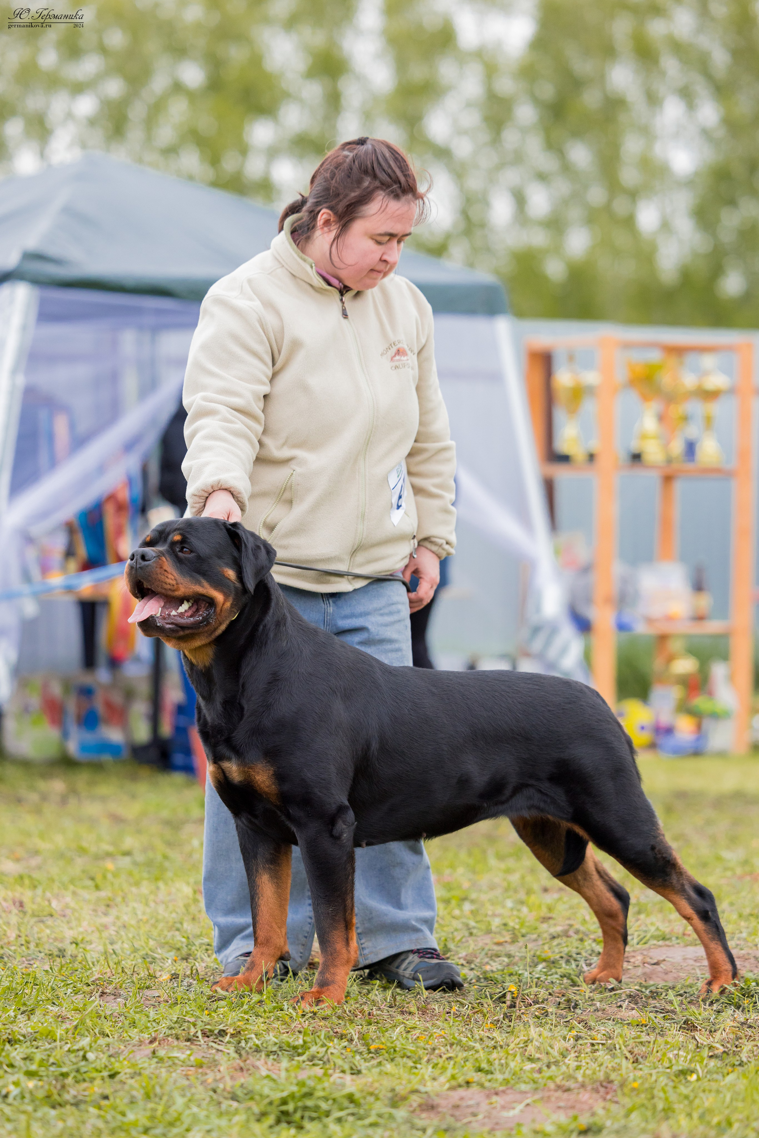 Нижний Новгород 11-12.05.2024 моно ротвейлеров. Фотограф-анималист Юлия Германика
