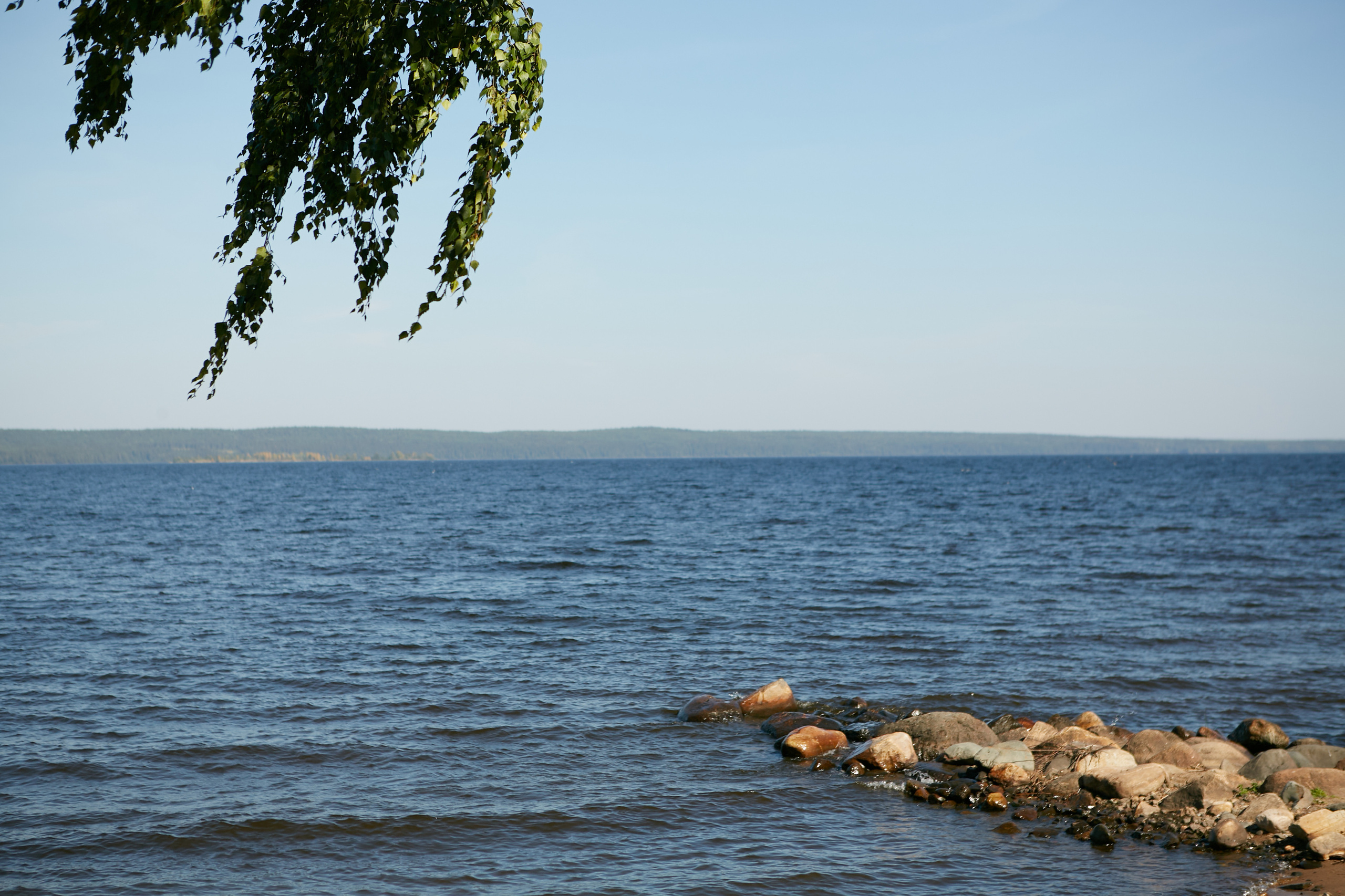 Мария и Валерий. Фотограф Желтухин Андрей в Петрозаводске, СПб и Москве