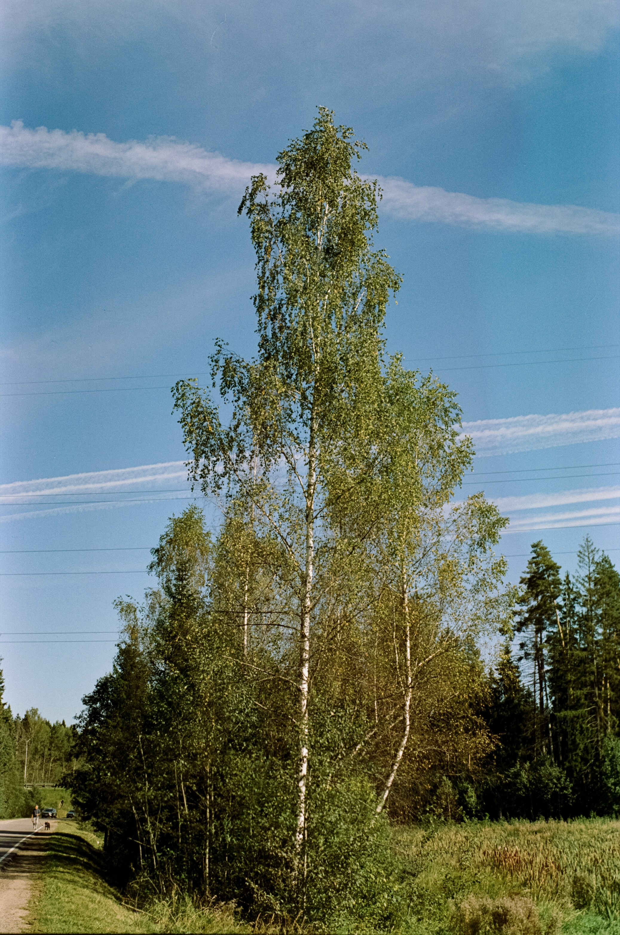 Mamiya-Sekor C 45mm f2.8 N обзор и примеры фотографий