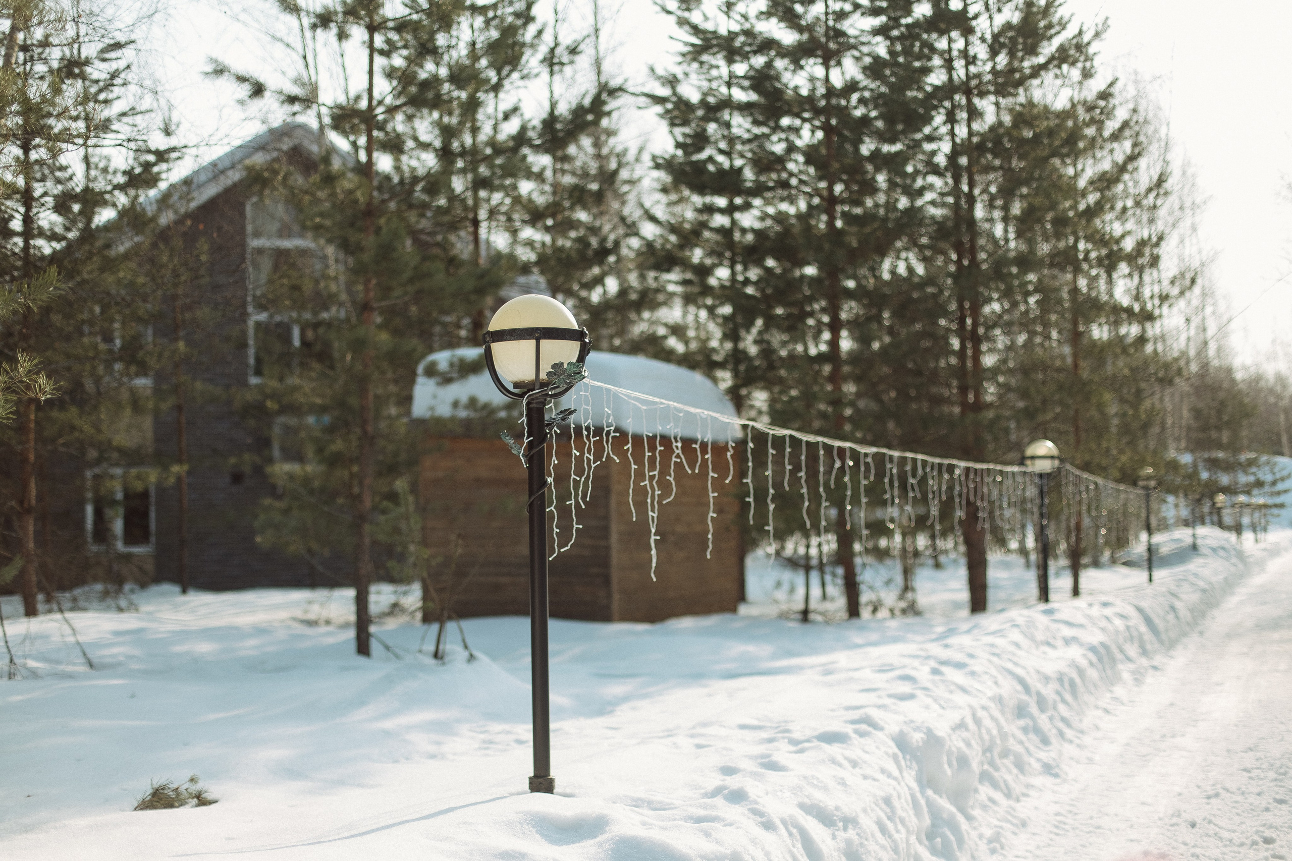 Экопарк ПОЛЯНЫ. Главная