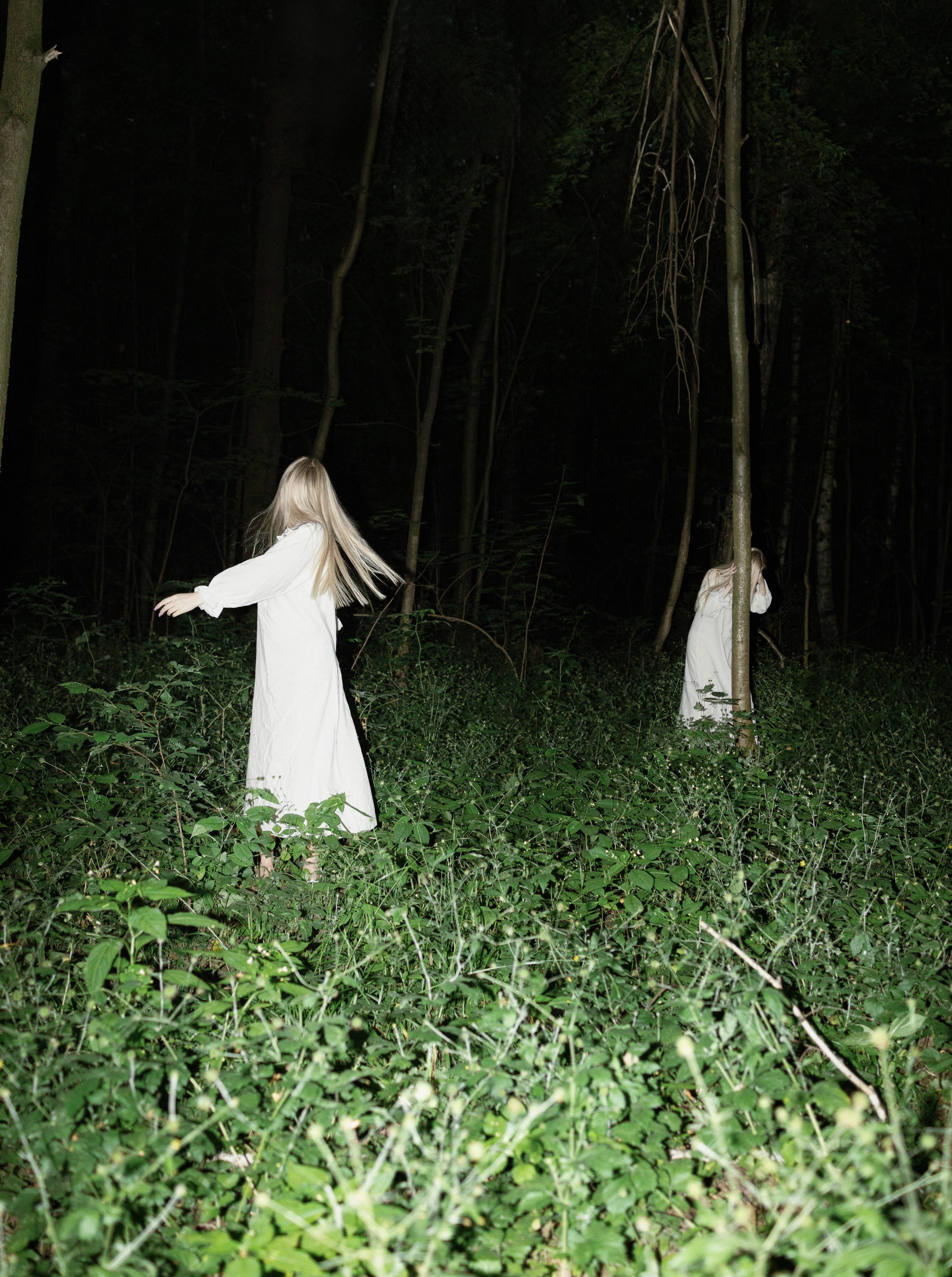 Woodland. Фото-художник