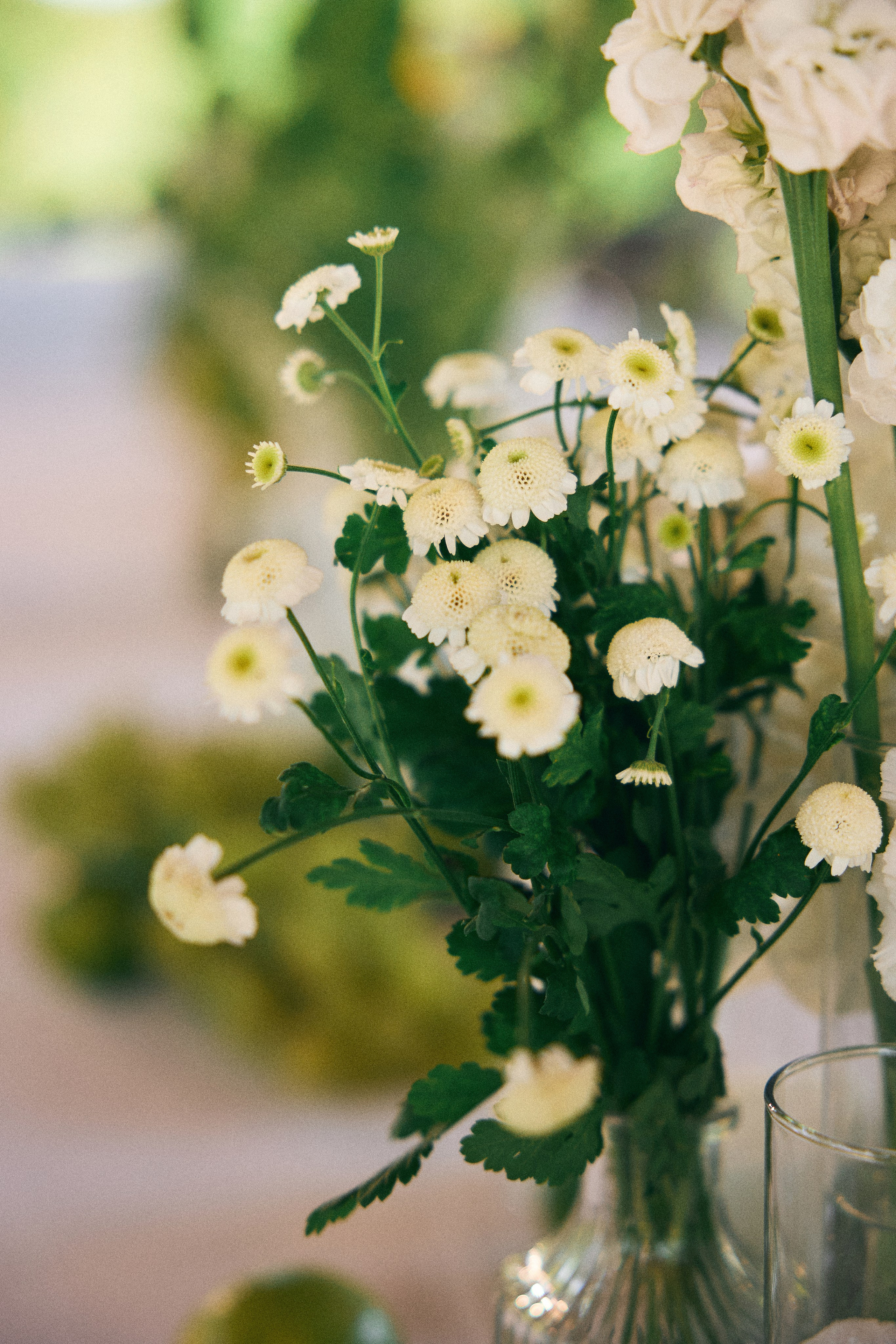 Артем и Маша. Фотограф Айвазова Наталья Краснодар