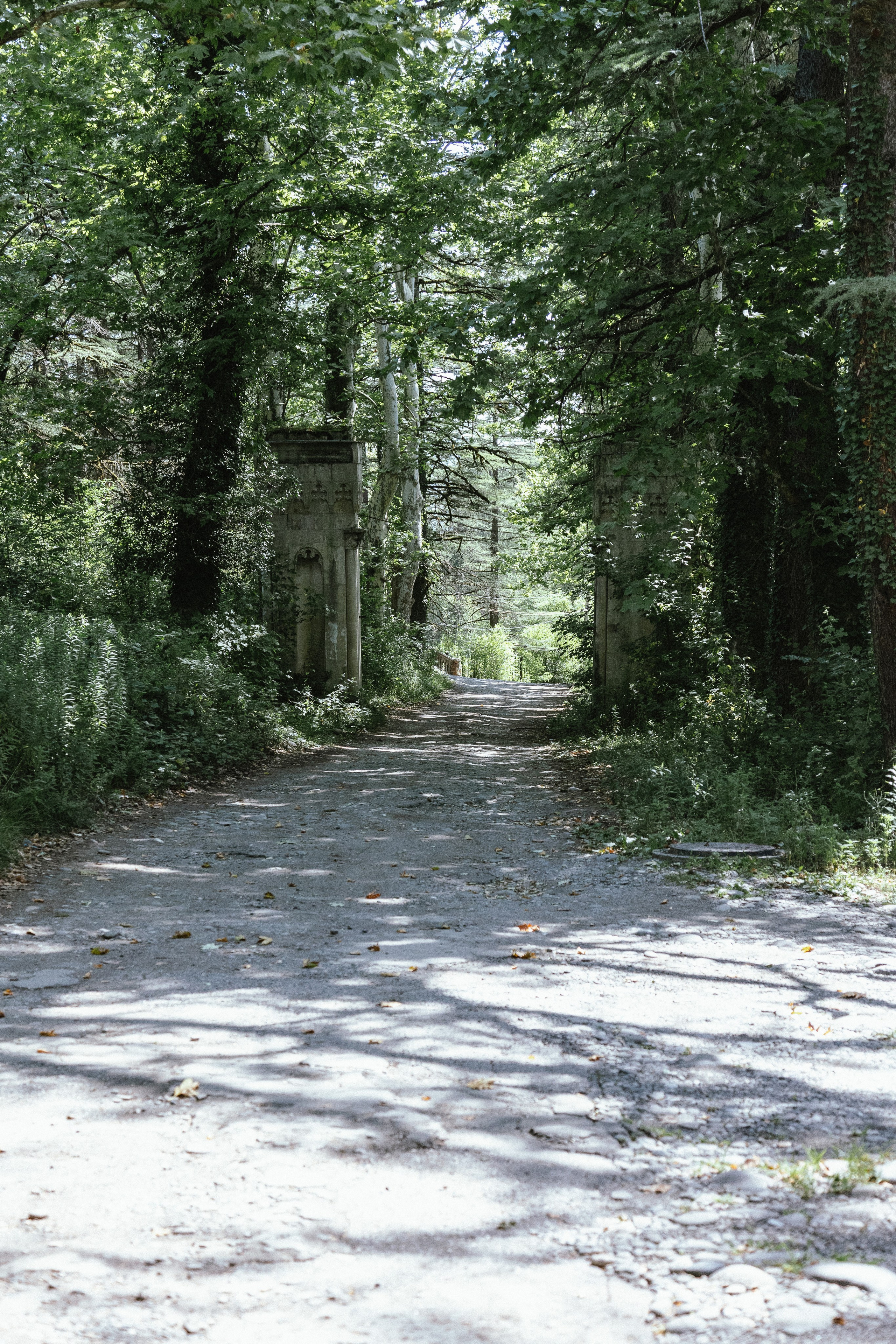 Грузия. Добродеева Алла фотограф, Москва