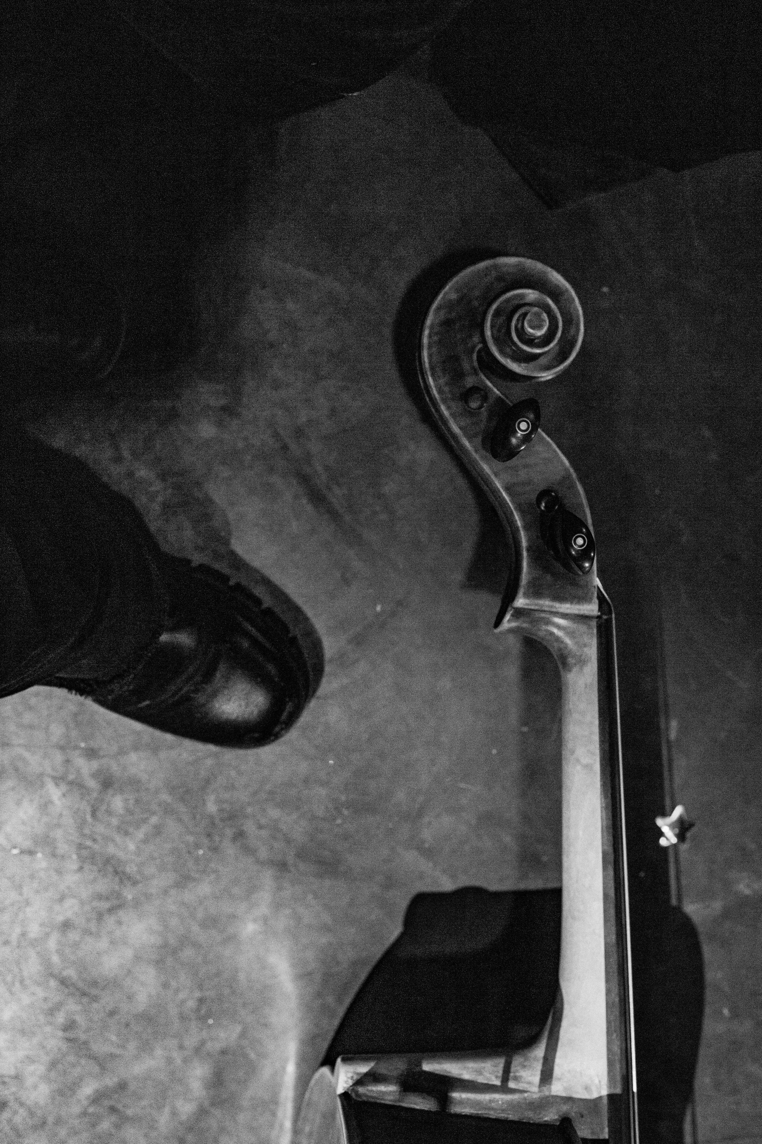 Рекорд. Герои нашего времени со струнным оркестром. Фотограф в Нижнем Новгороде