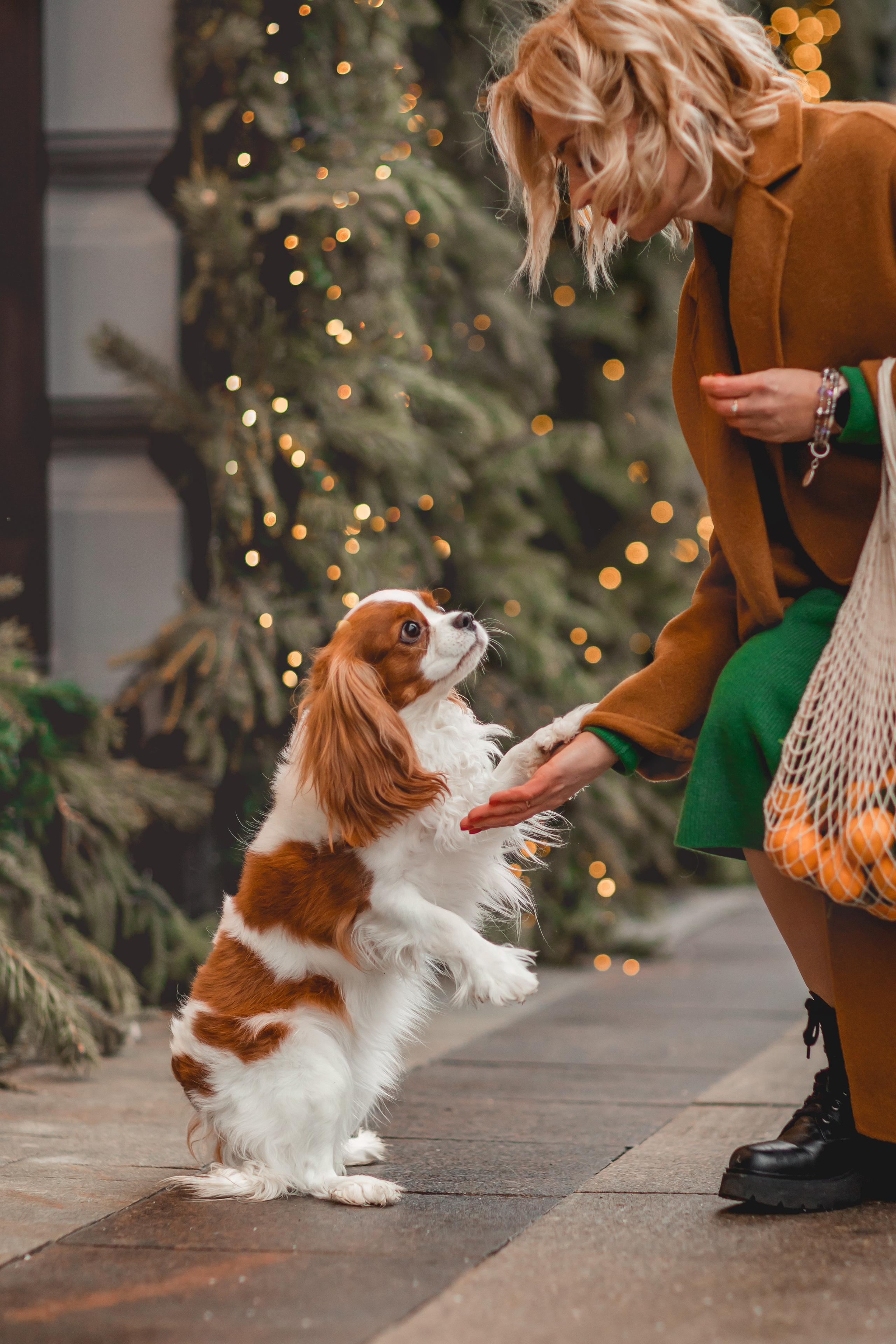 Татьяна и Хэппи. Семейный фотограф анималист Мария Крючкова