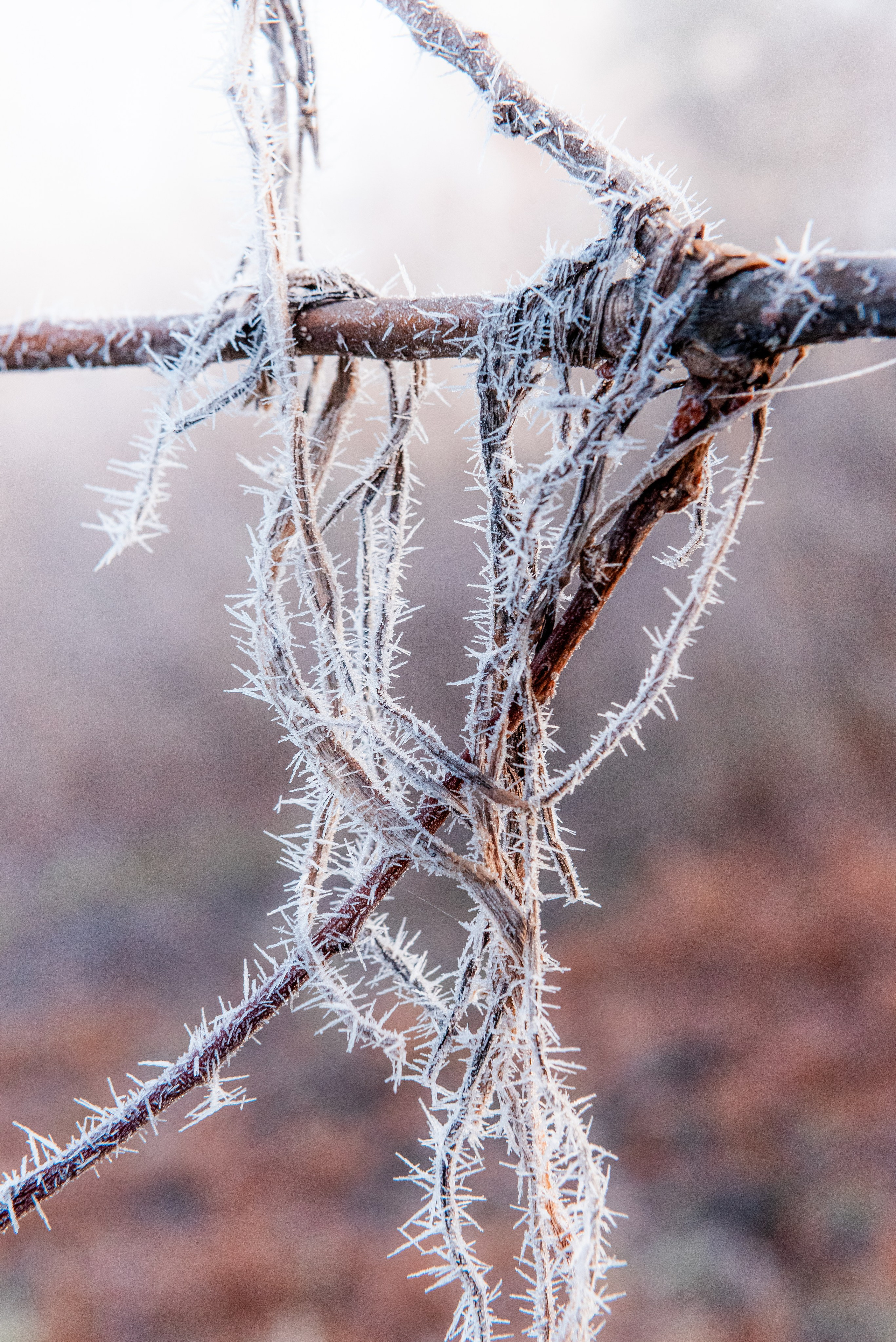 Фотографии утреннего тумана под Волжским. Фотограф в Волгограде и Волжском Александр Горбань