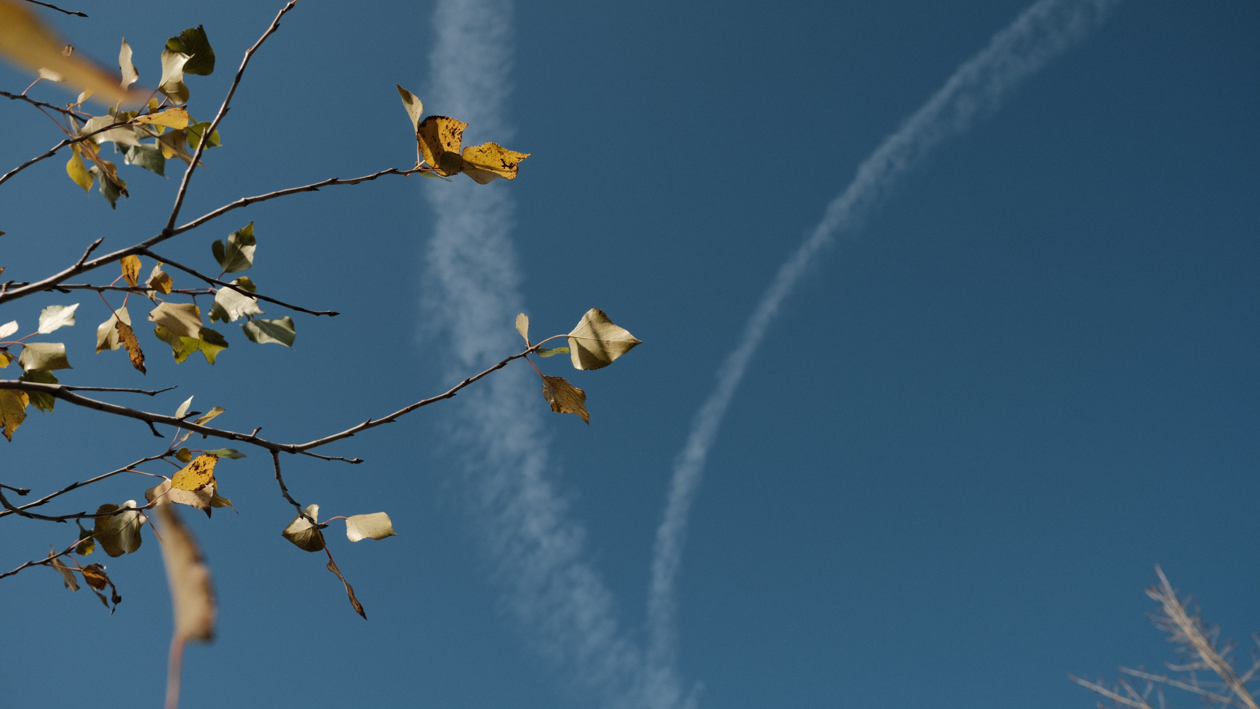 Нижний Новгород. LIYALEE PHOTO