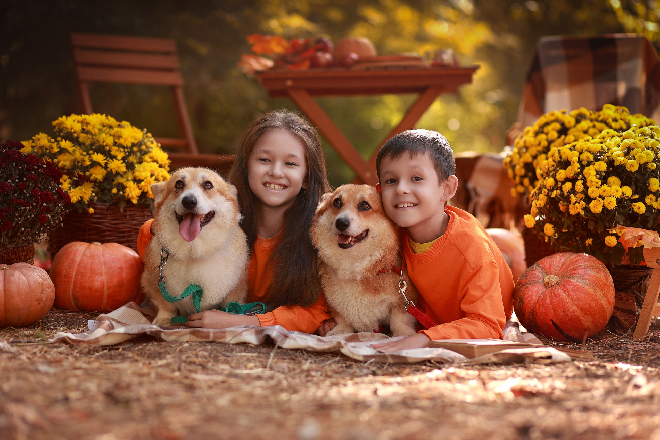 Пикник в парке. Детский семейный фотограф Краснодар