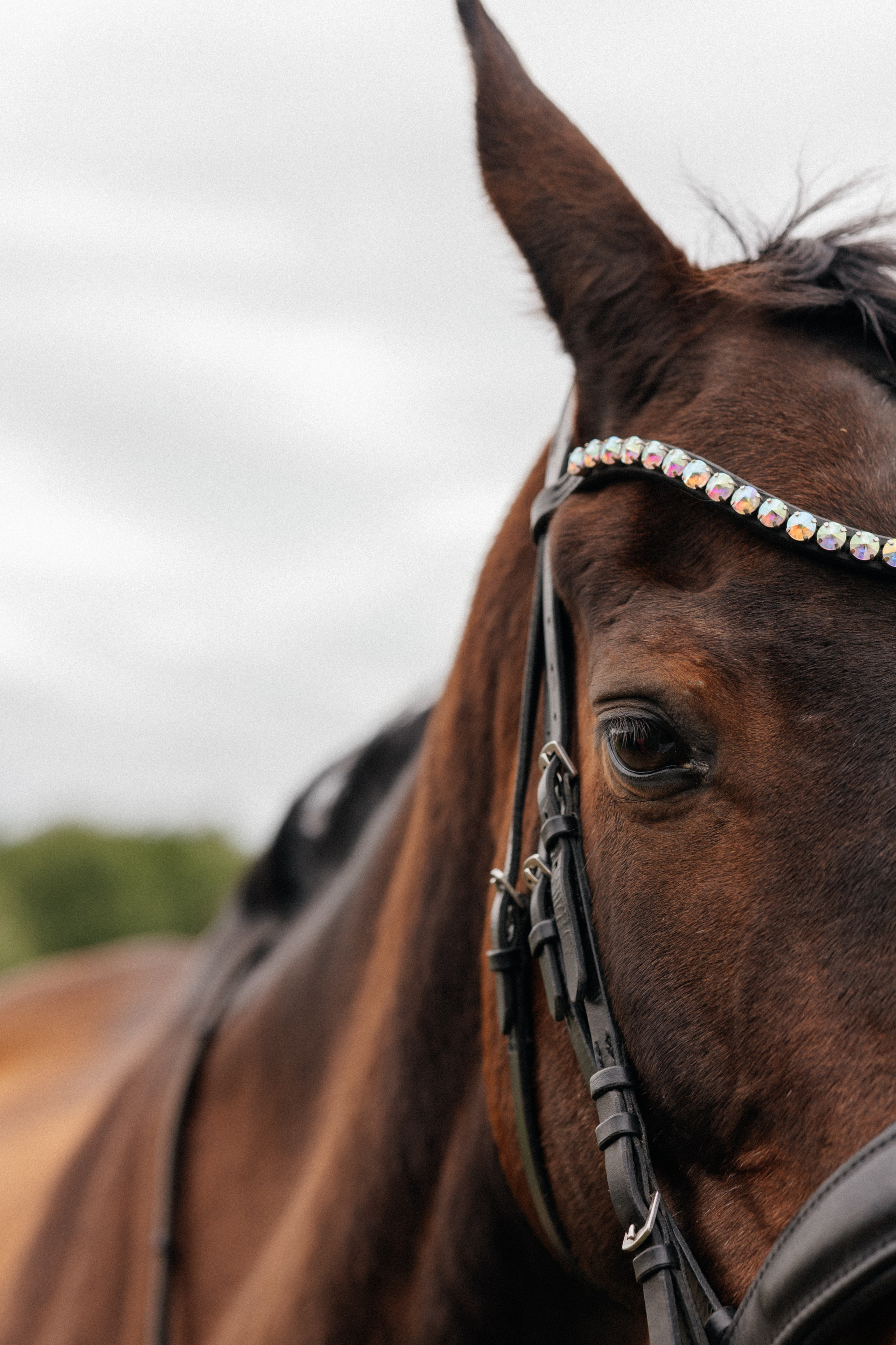 Алина. Фотограф Ульяна Дивина в Нижнем Новгороде и Нижегородской области