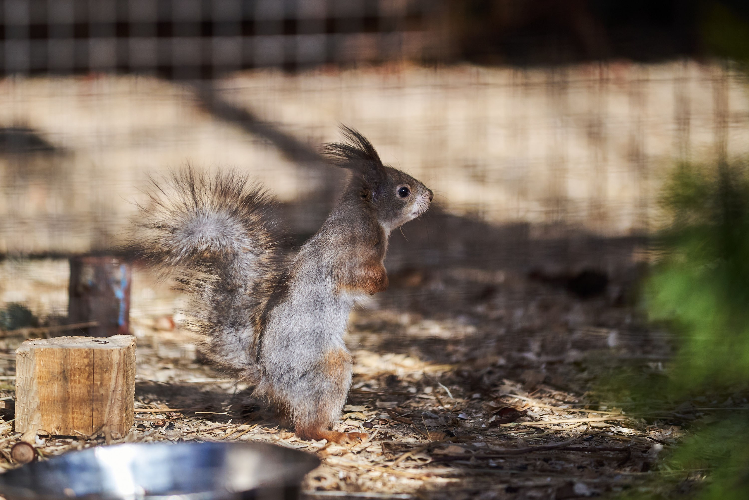 Зоопарк Иваново. Фотограф в Иваново: Каталожная съемка одежды и постельного белья, Wildberries