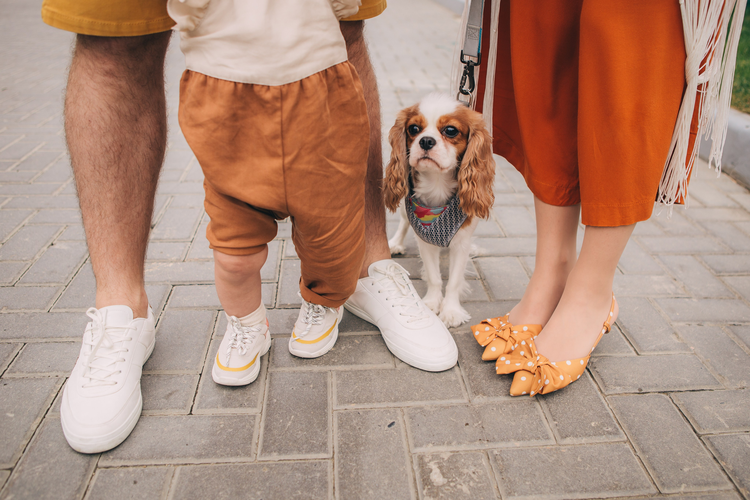 Семьи. Главная