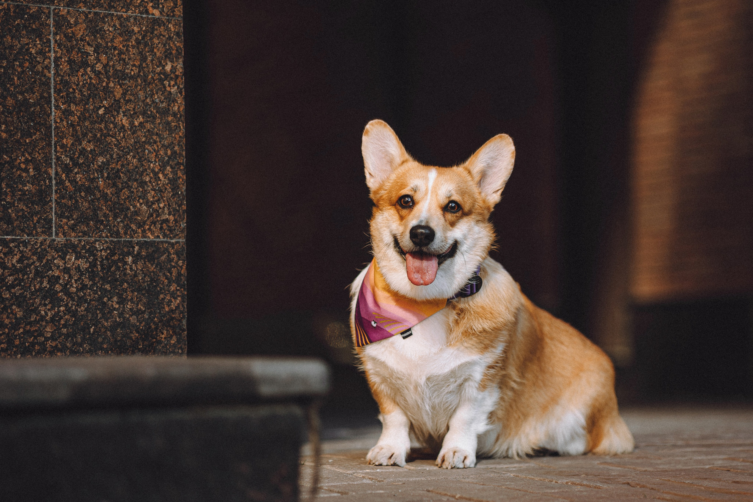 Вика и Мейзи