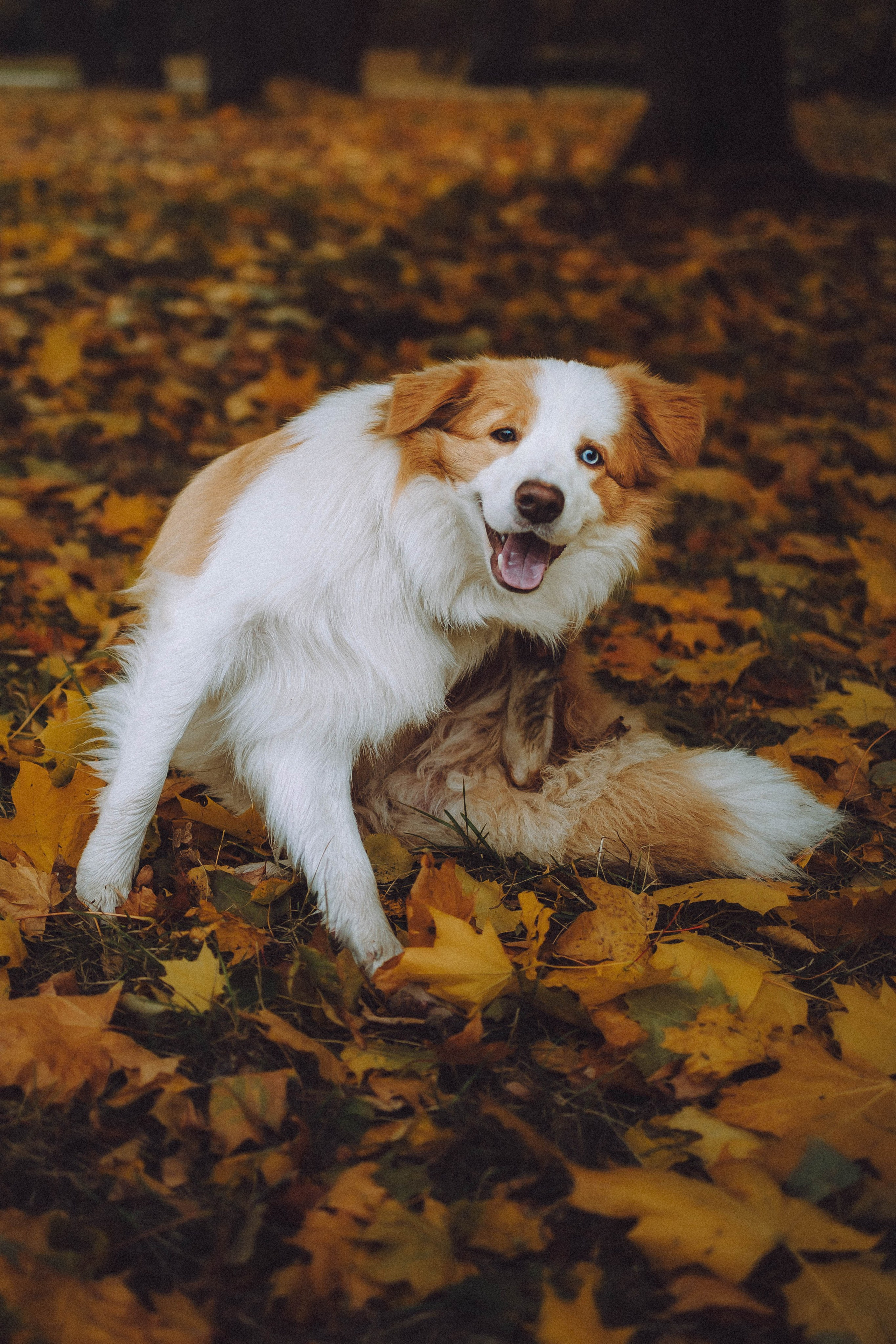 Алина, Витя и Асти