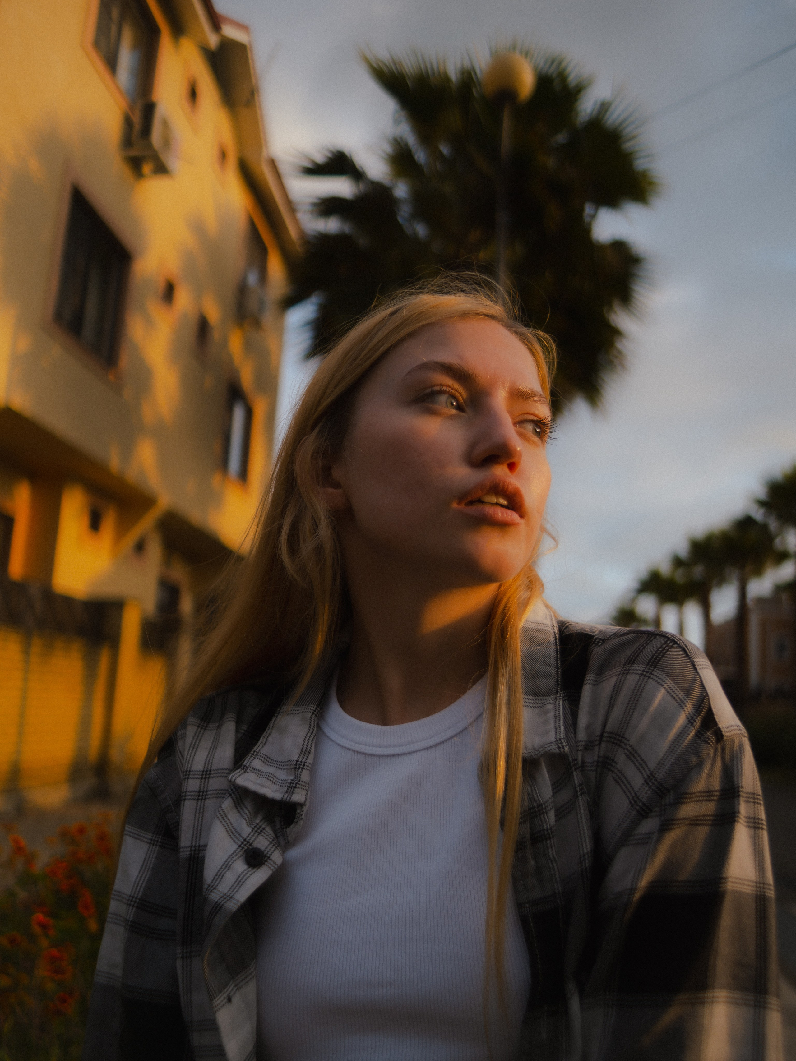 Оля в Сириусе (California). Главная