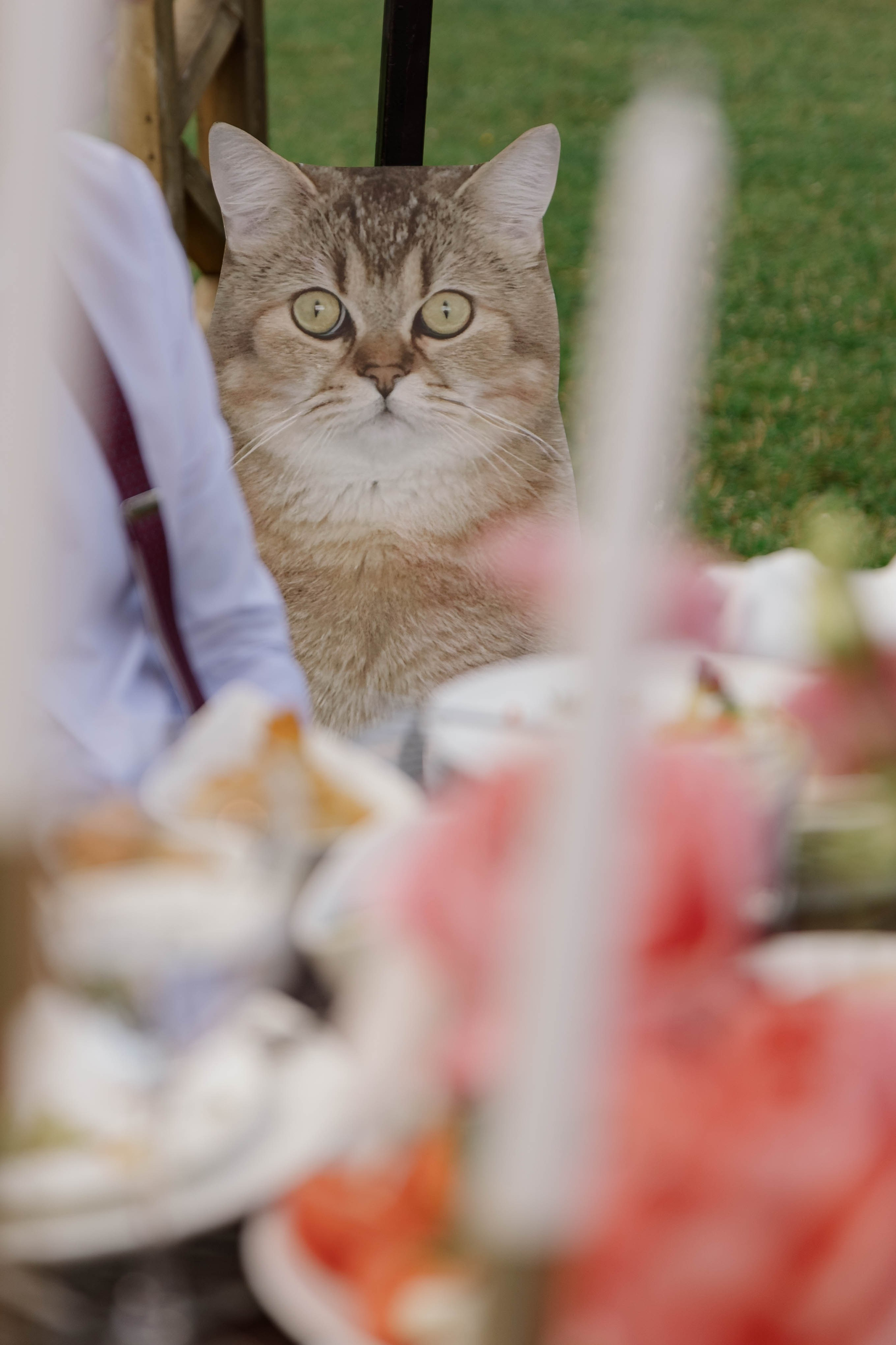 Максим и Мила. Фотограф Юсова Мария