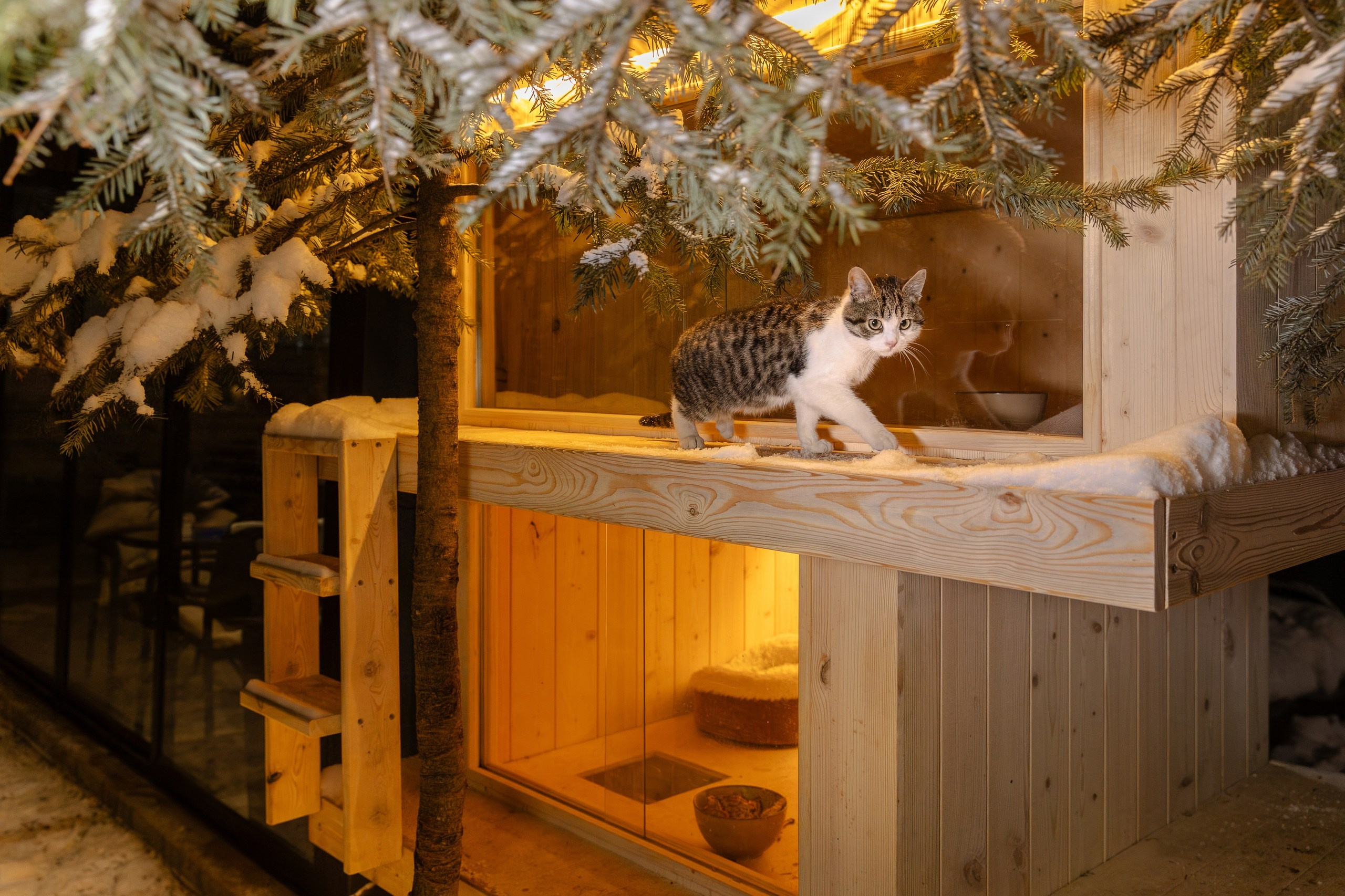 Интерьерная съемка. Фотограф Николай Петрушкин | Ставрополь, Москва