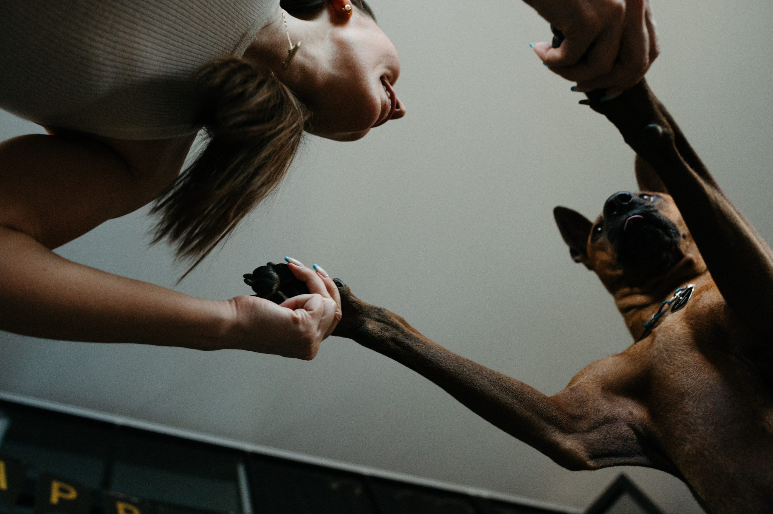 Оксана и Зевс. Фотограф анималист в Москве Ольга Агушева