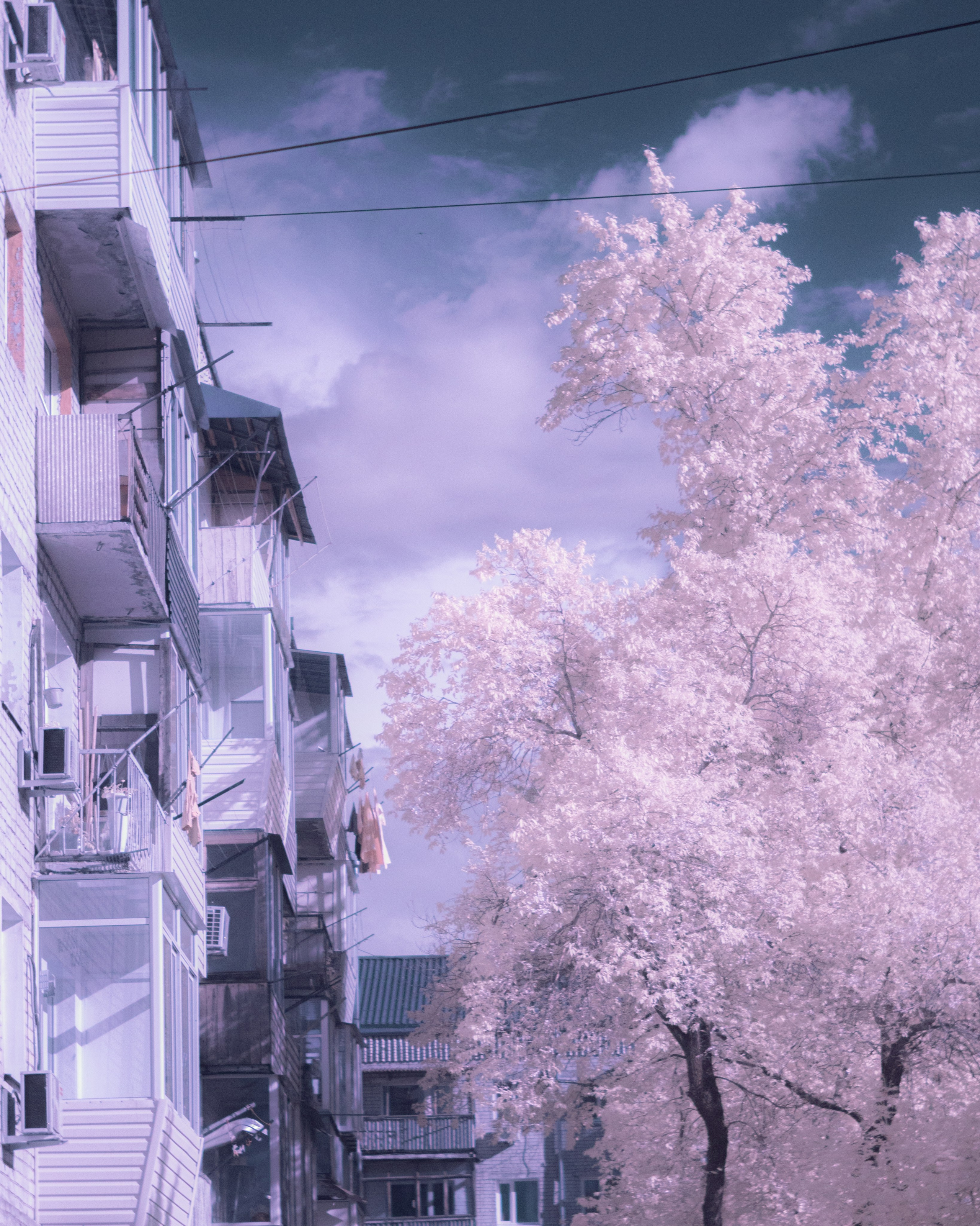 Infrared. AThumbnails