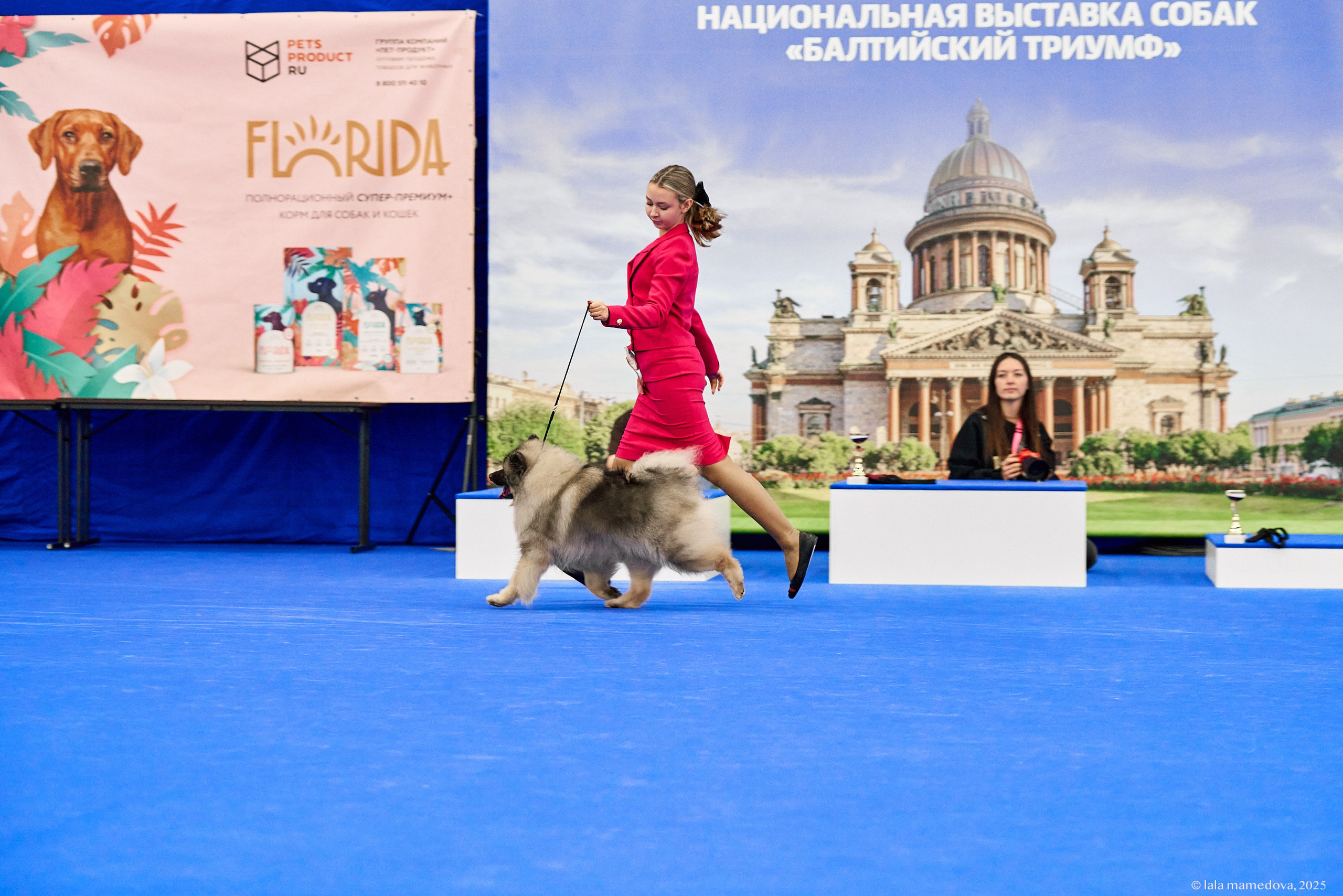 22-23 FEB 2025 | NATIONAL DOG SHOW «BALTIC TRIUMPH-2025»