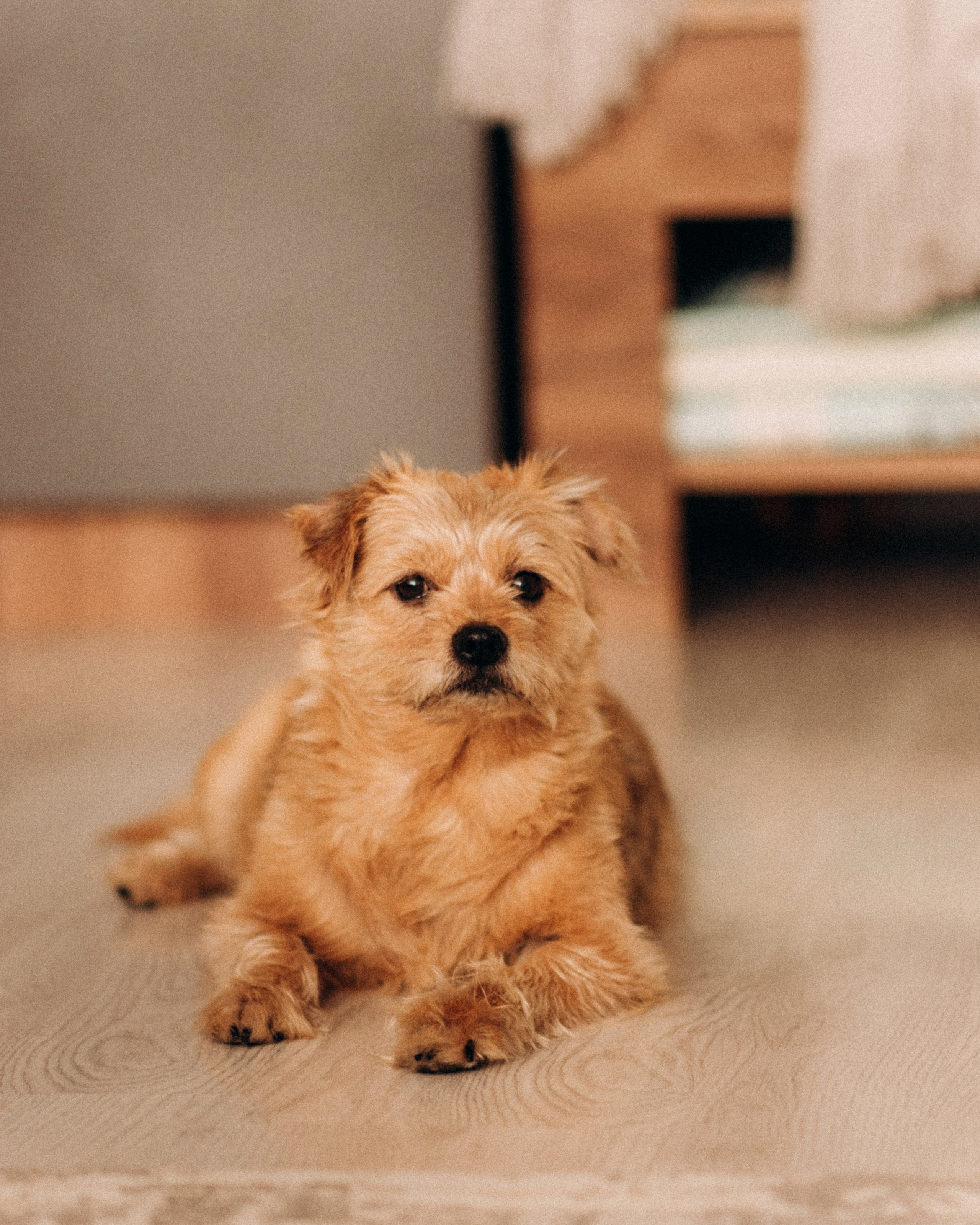 Люда и Оливия. Фотограф Юлия Стрыгина