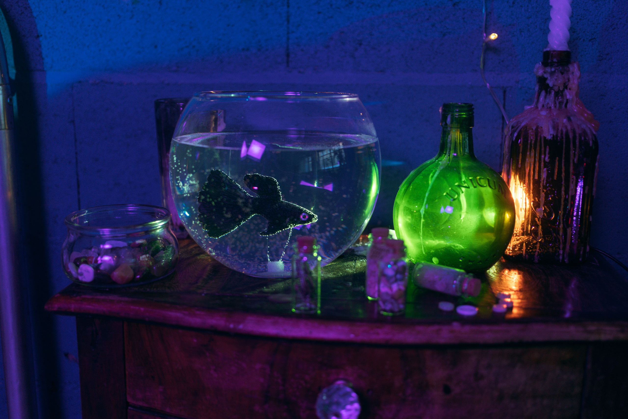 Дом, в котором…. Репортажный фотограф Анастасия Головко