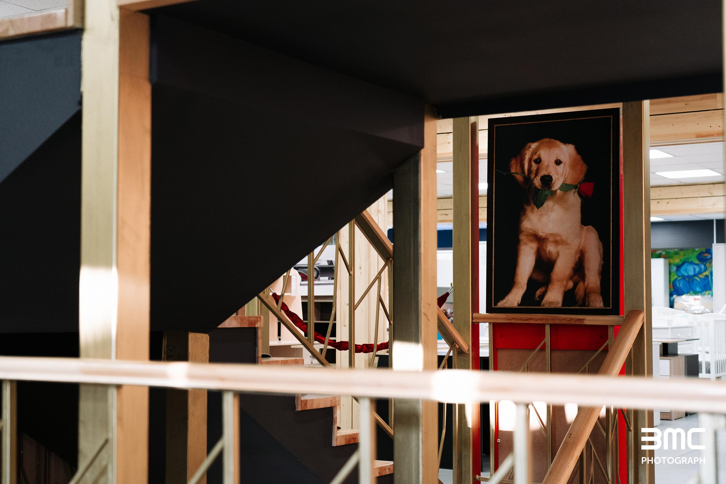 Фотосессия для мебельного салона «Калинка»