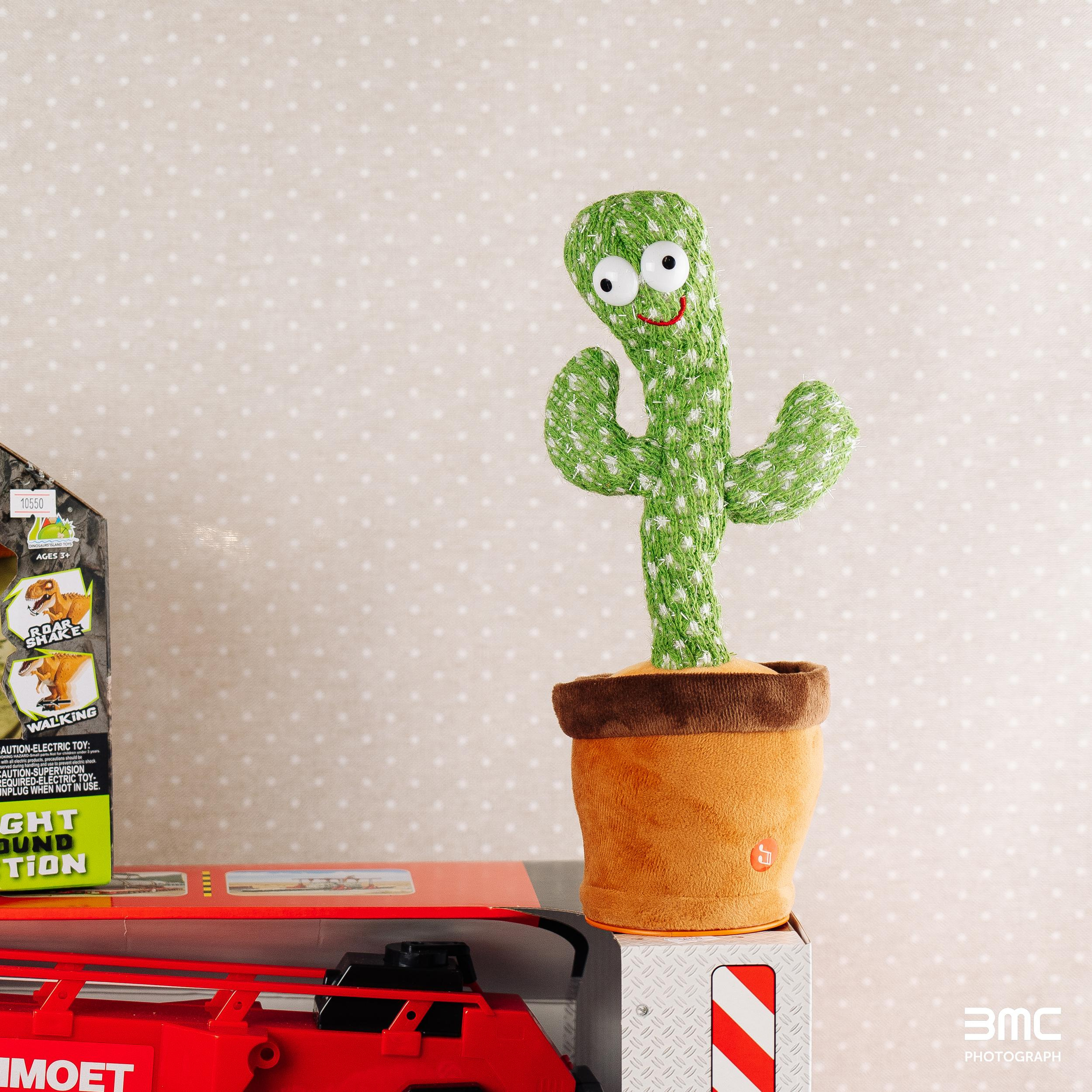 Фотосессия для мебельного салона «Калинка»