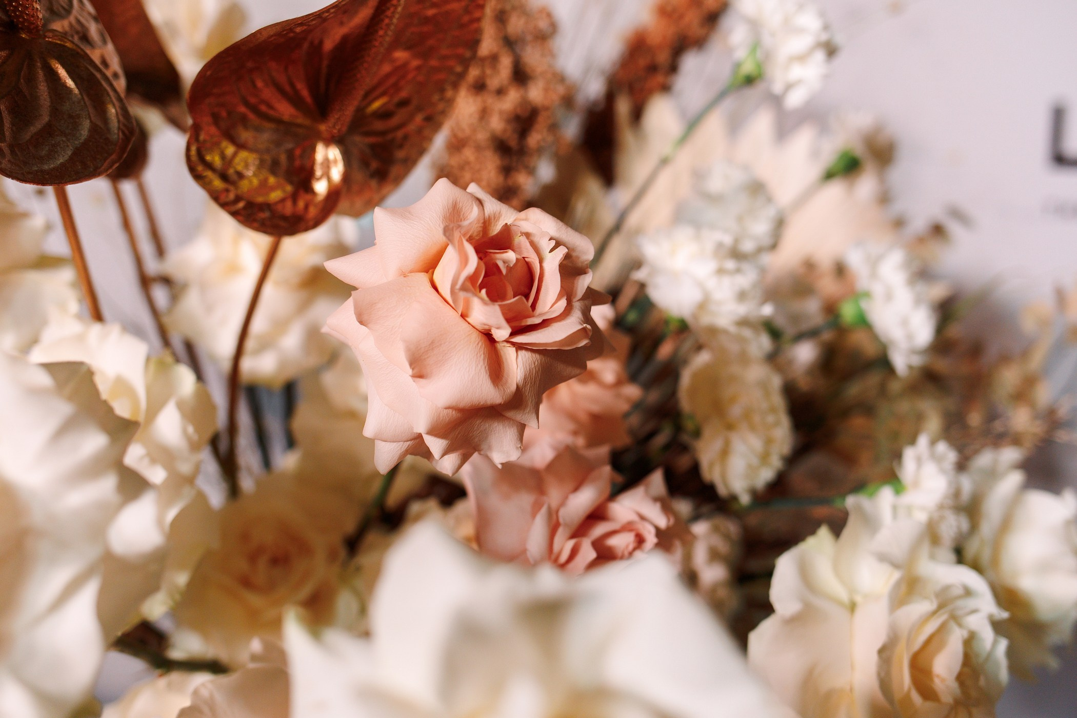 репортажный фотограф краснодар