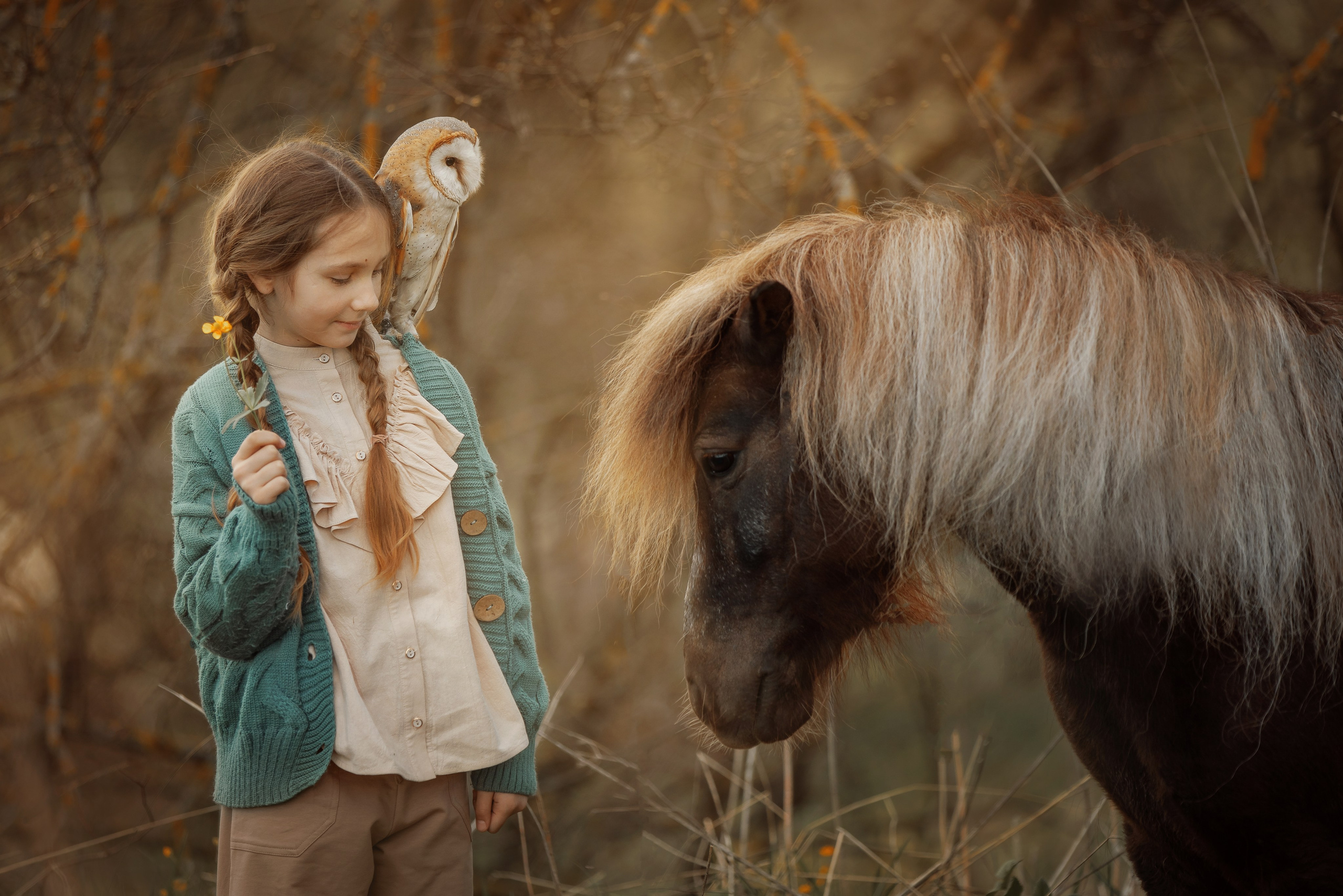 Детская конная съёмка. Детская Конная фотография в Москве Юлия Шепелева