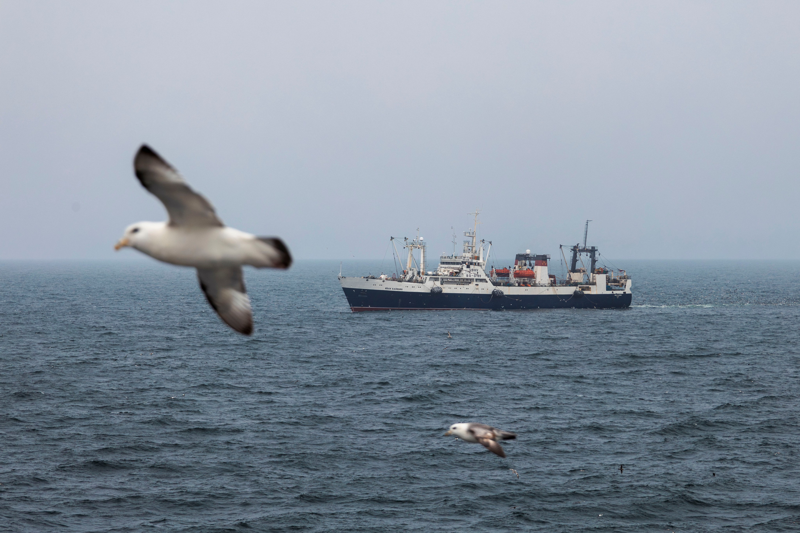 Когда я в море. Часть 2. Фотограф г. Владивосток