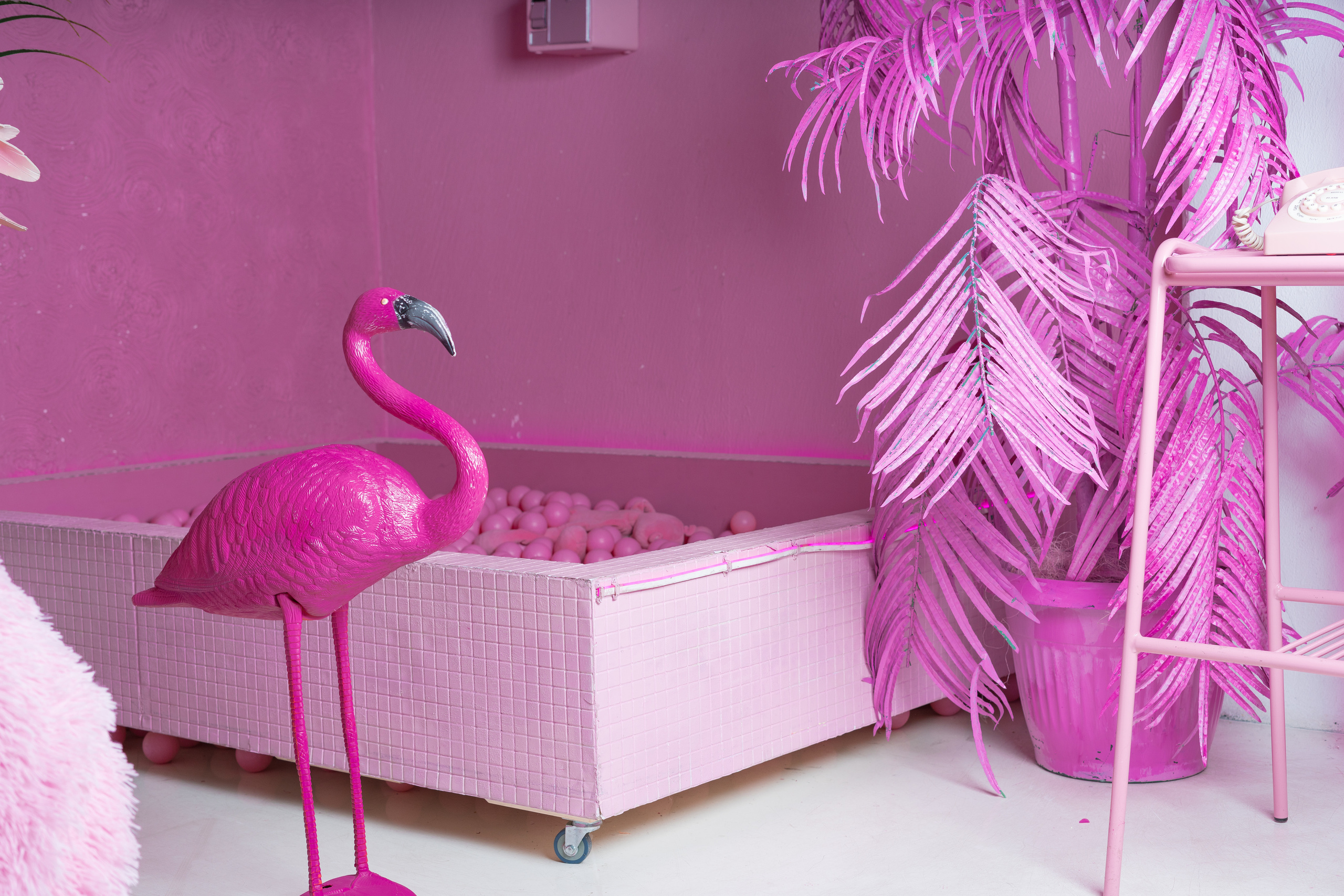 Дитя заката. Семейный, детский и лайфстайл фотограф в Москве Альбина Соколова