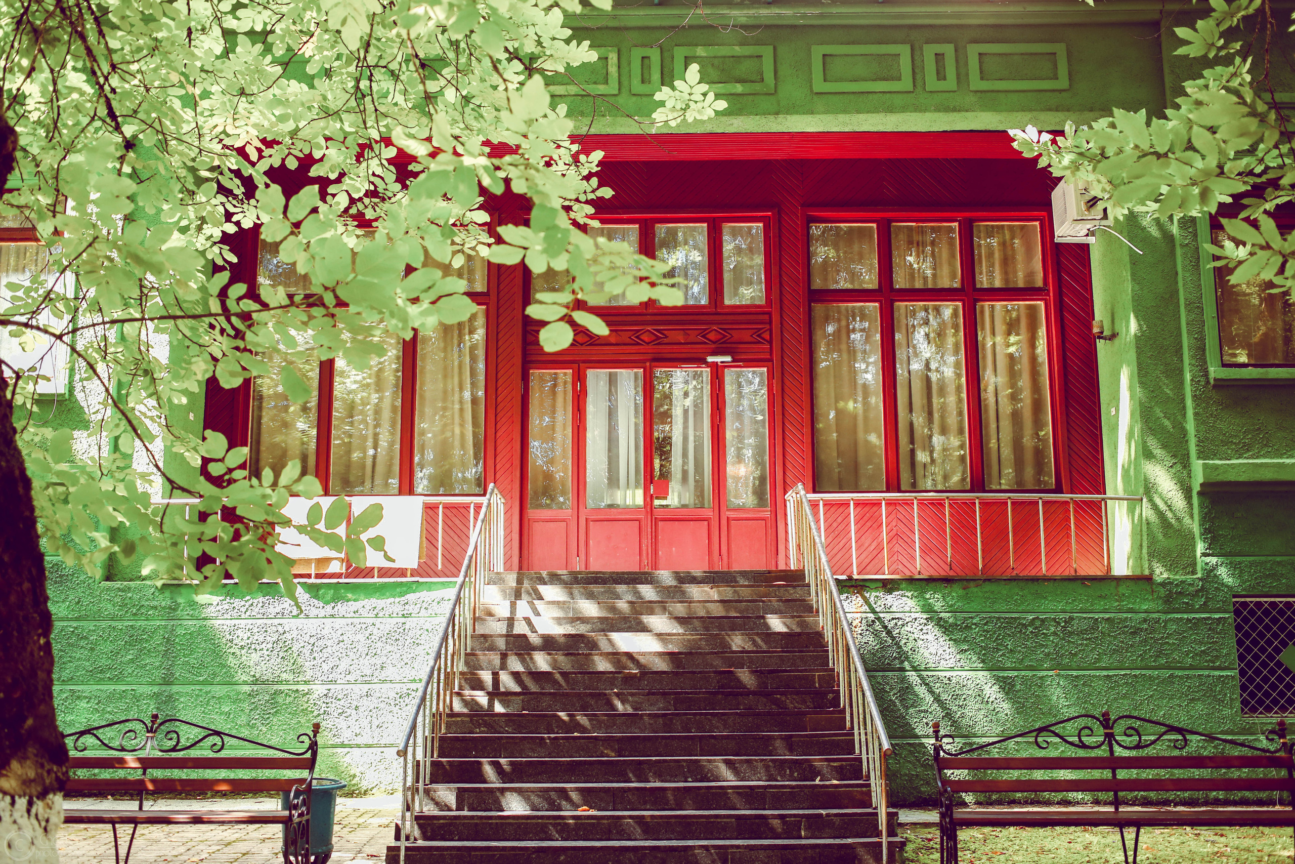 Пейзаж. Твой комфортный фотограф из Санкт-Петербурга Дарья Чатта