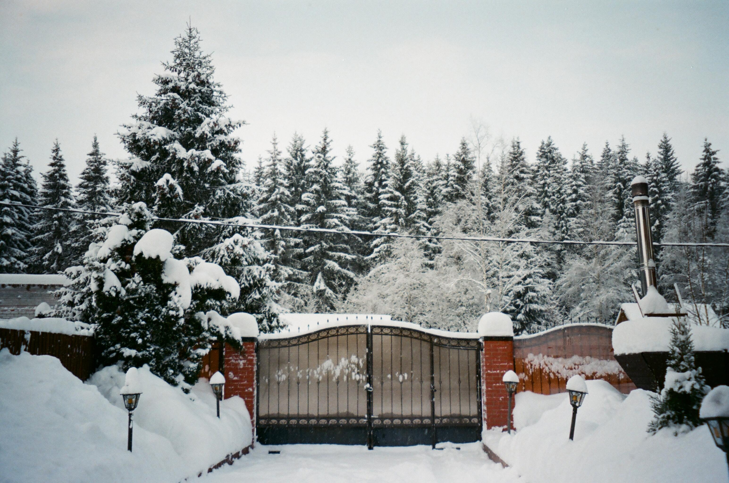 Плёнка. Твой комфортный фотограф из Санкт-Петербурга Дарья Чатта