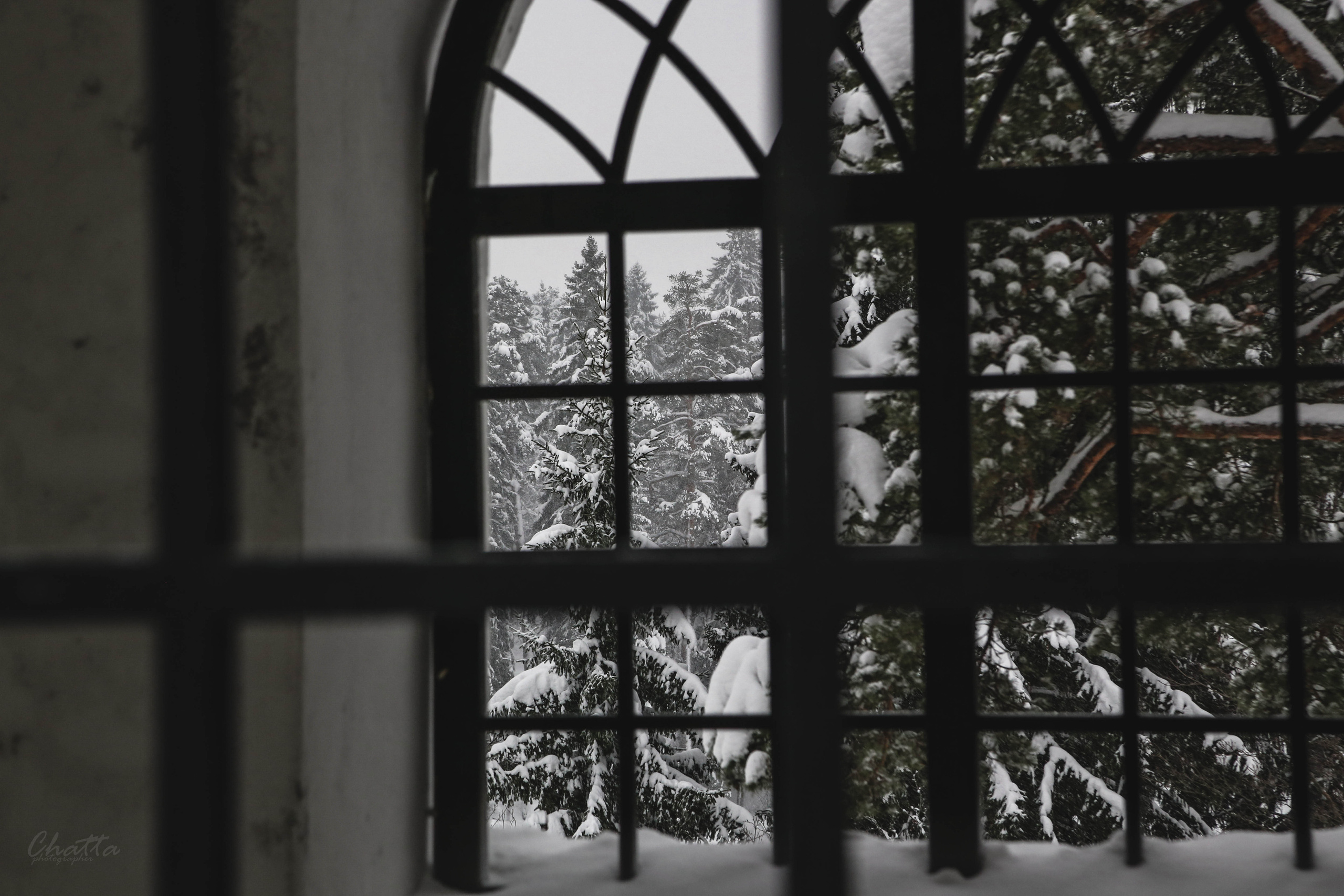 Пейзаж. Твой комфортный фотограф из Санкт-Петербурга Дарья Чатта