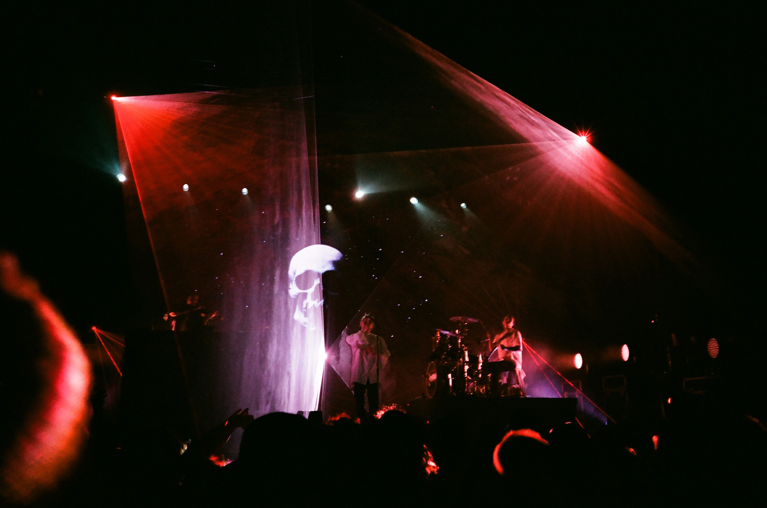 Плёнка. Твой комфортный фотограф из Санкт-Петербурга Дарья Чатта