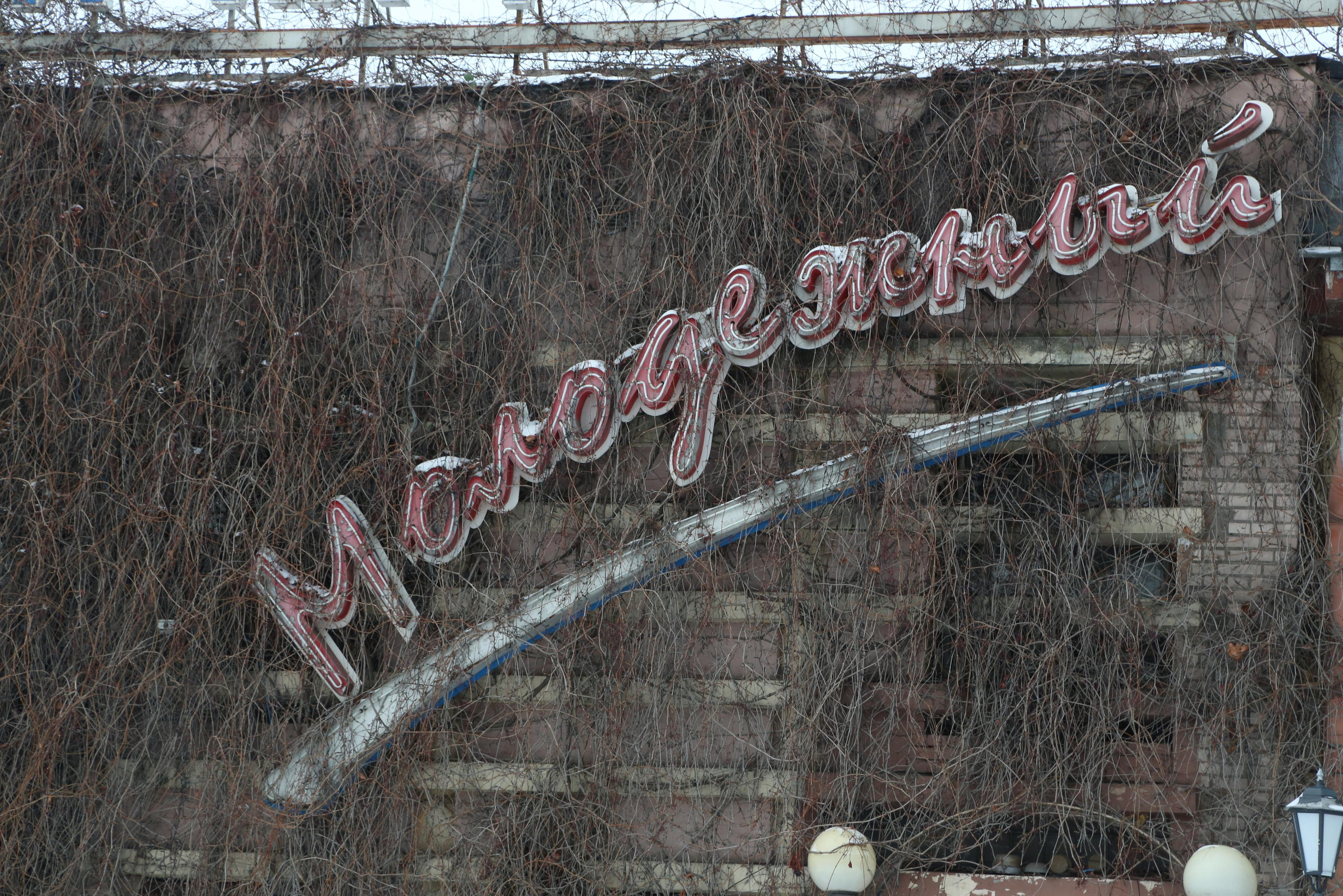 Пейзаж. Твой комфортный фотограф из Санкт-Петербурга Дарья Чатта