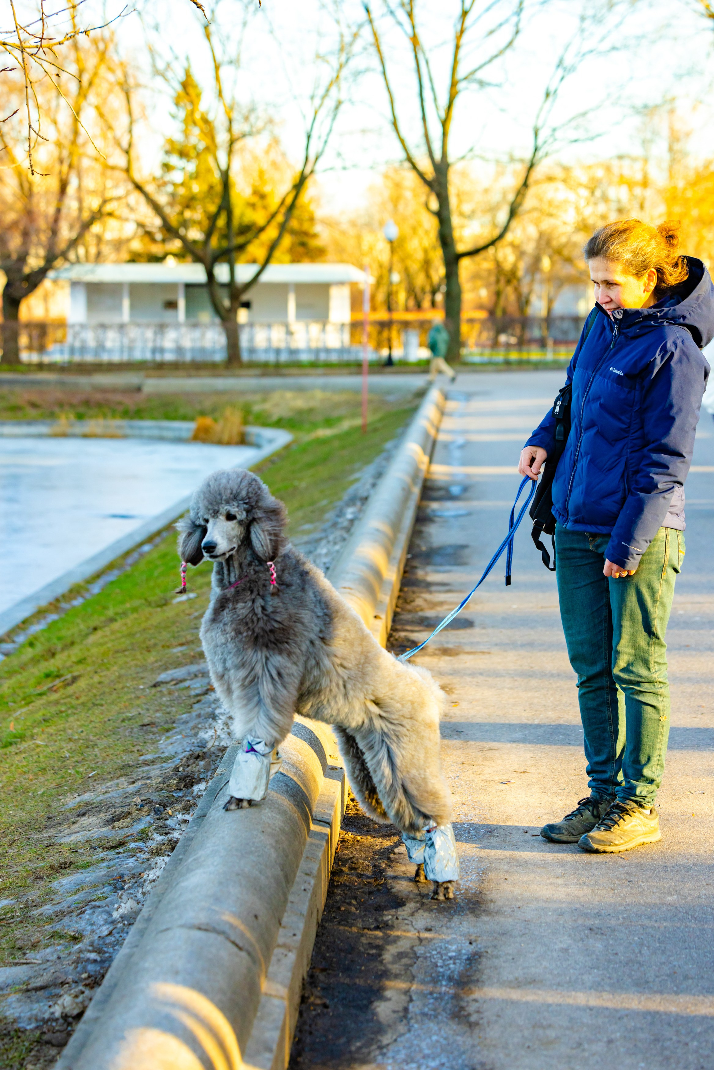 Клуб грумеров (прогулка и семинары). Виктория Зудина — фотограф в Москве