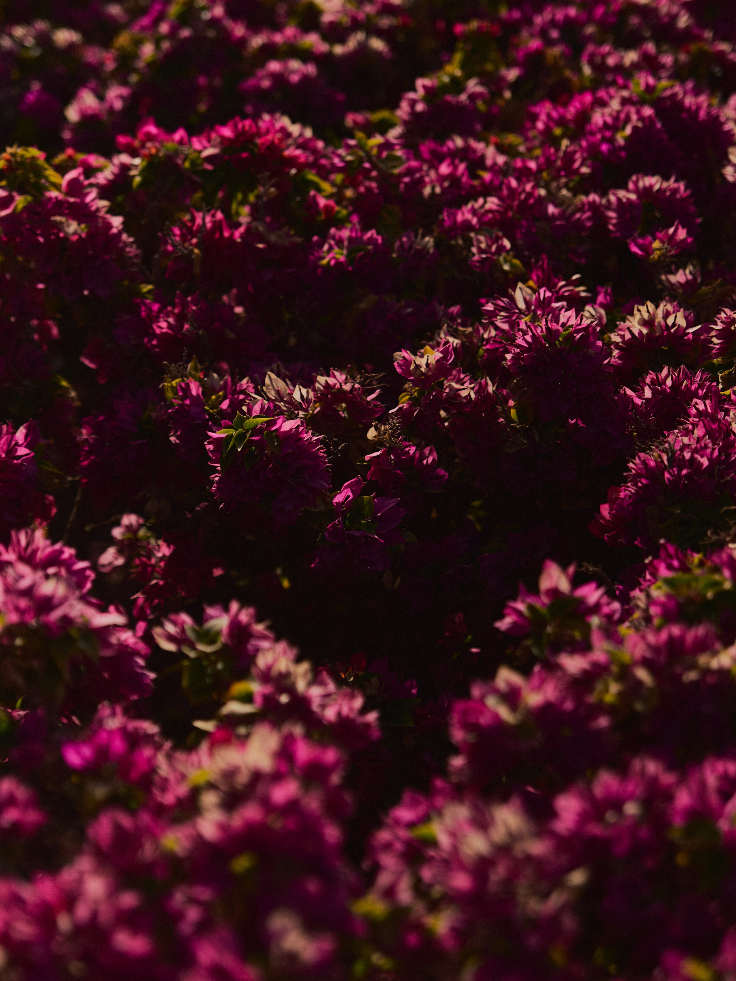 Диптих. Jorgis — фотограф в Хургаде / обучение фотографии