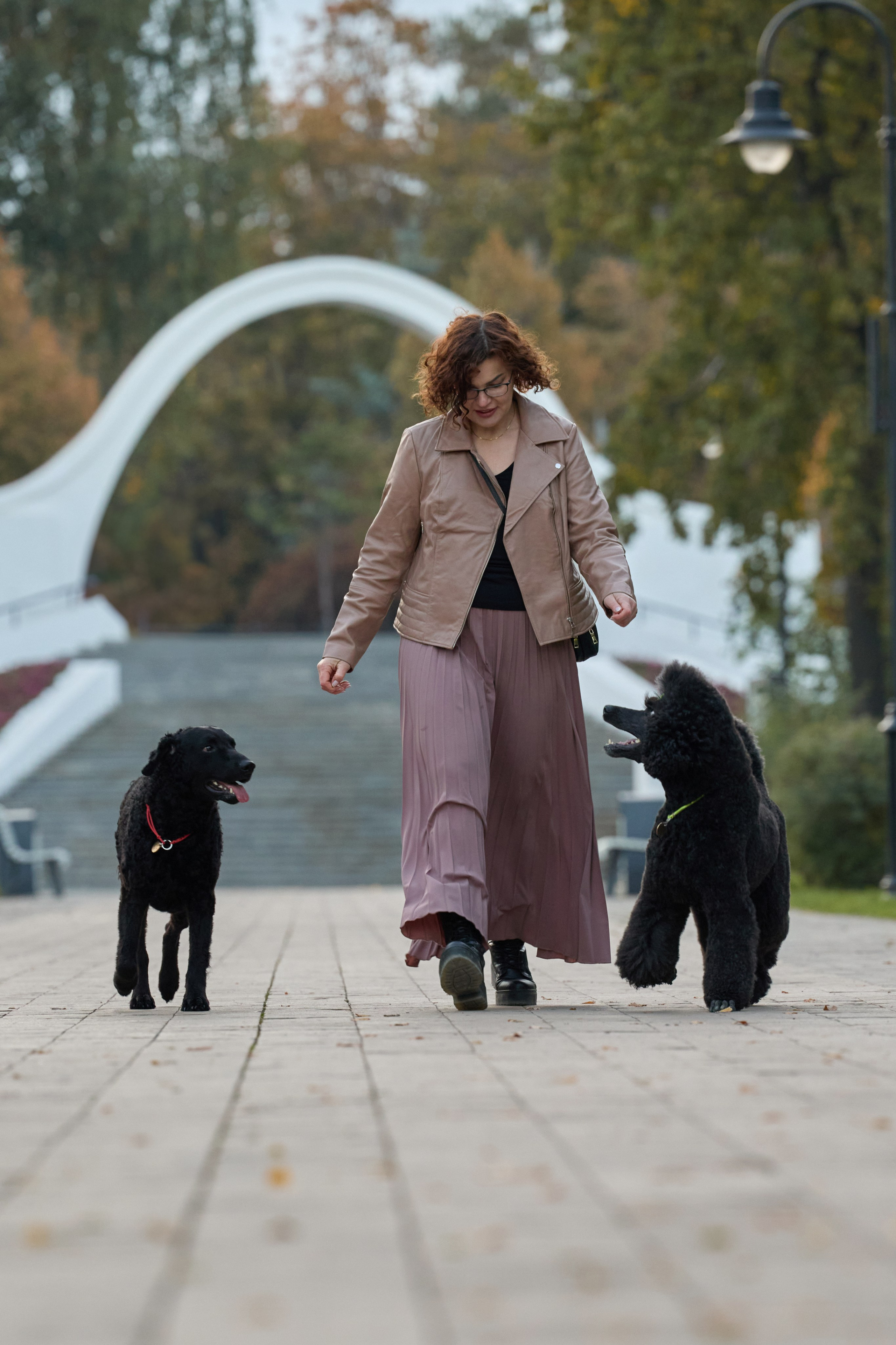 Альбина. Марфа и Мистик. Прогулка в парке. Фотограф анималист в Казани Алина Сулейманова. Фотограф животных