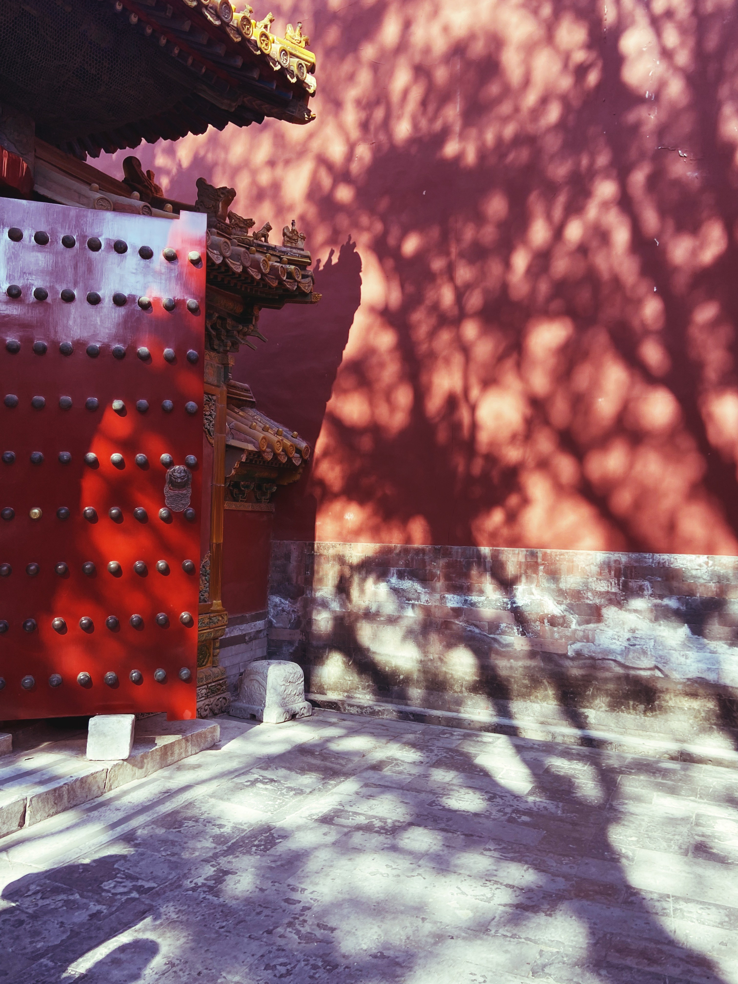 Китай'25: Пекин-Сиань-Шанхай. Фотограф-портретист в Москве