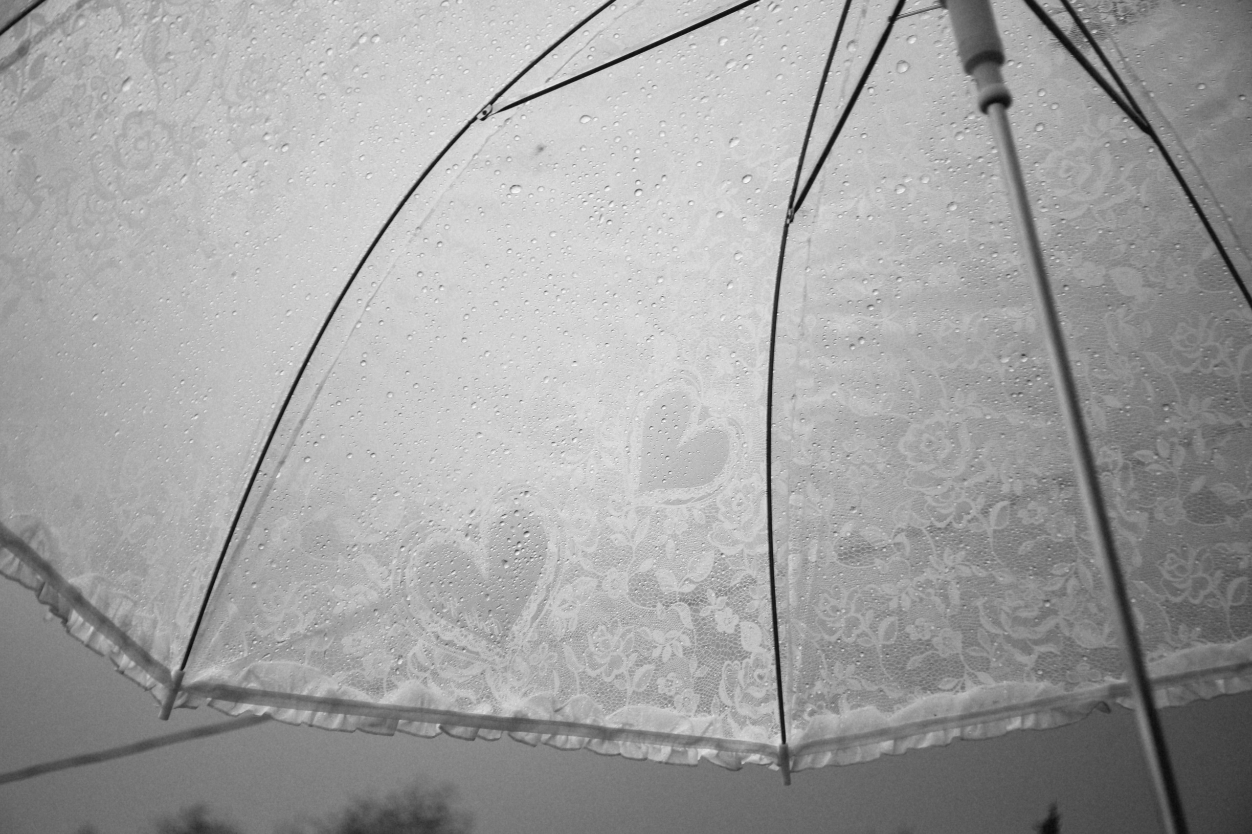 Александр и София. Фотограф Лола Волна, город Москва