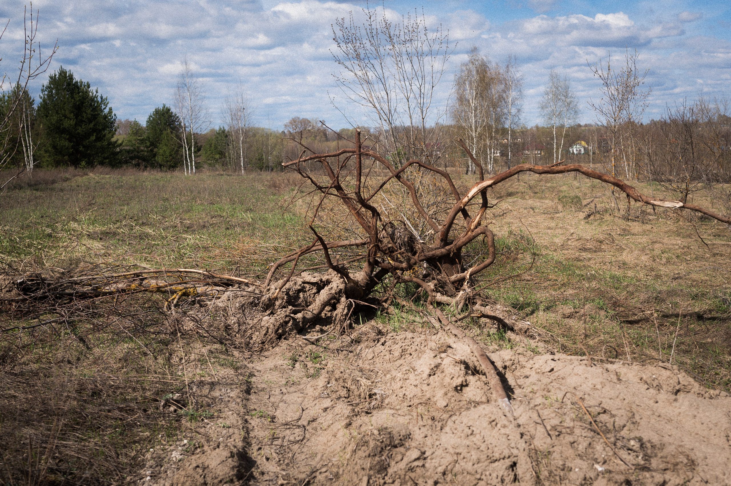 Late Honeymoon. Kartascheff