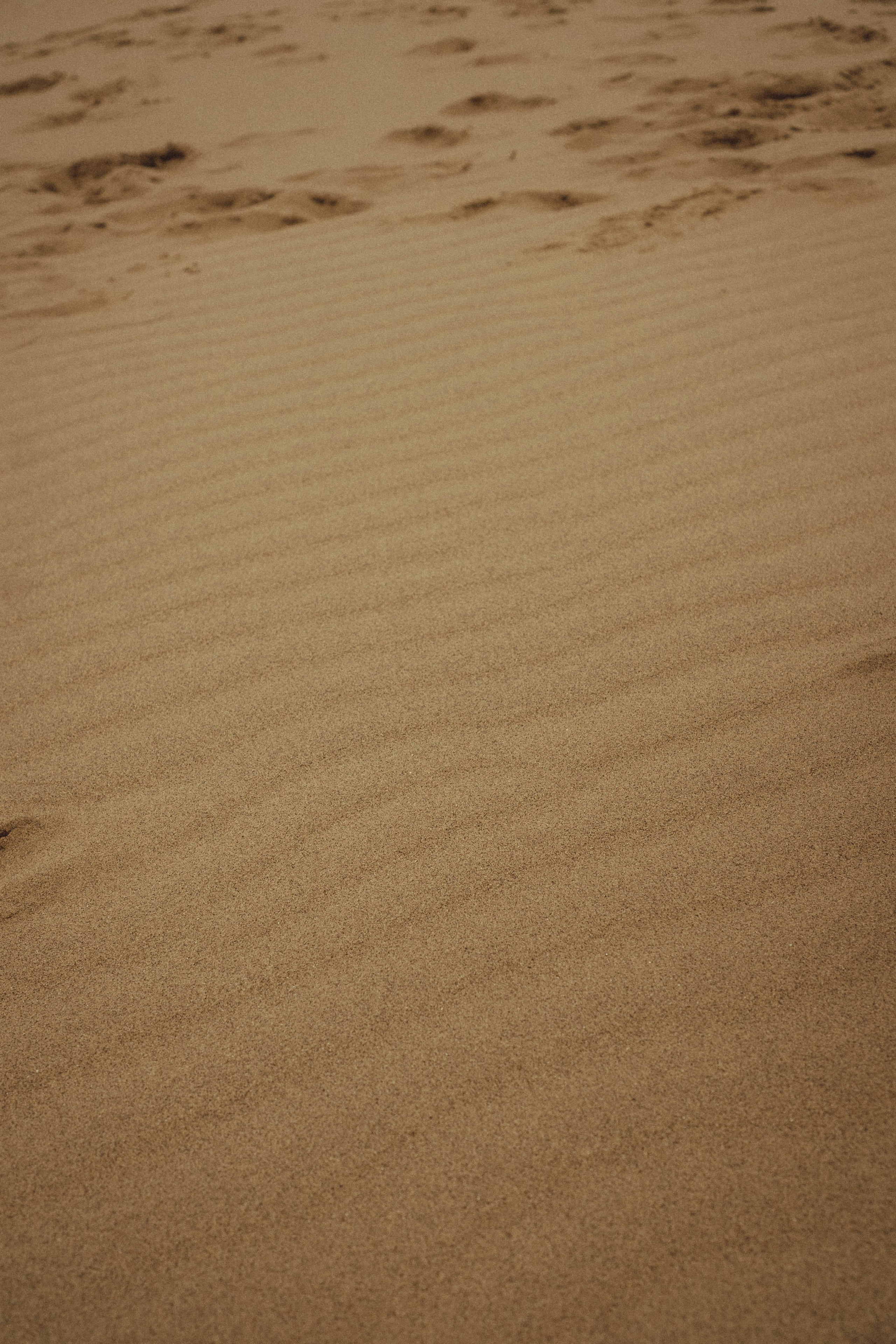 Кавказ. Профессиональный фотограф, Санкт-Петербург — Виктория Богомолова