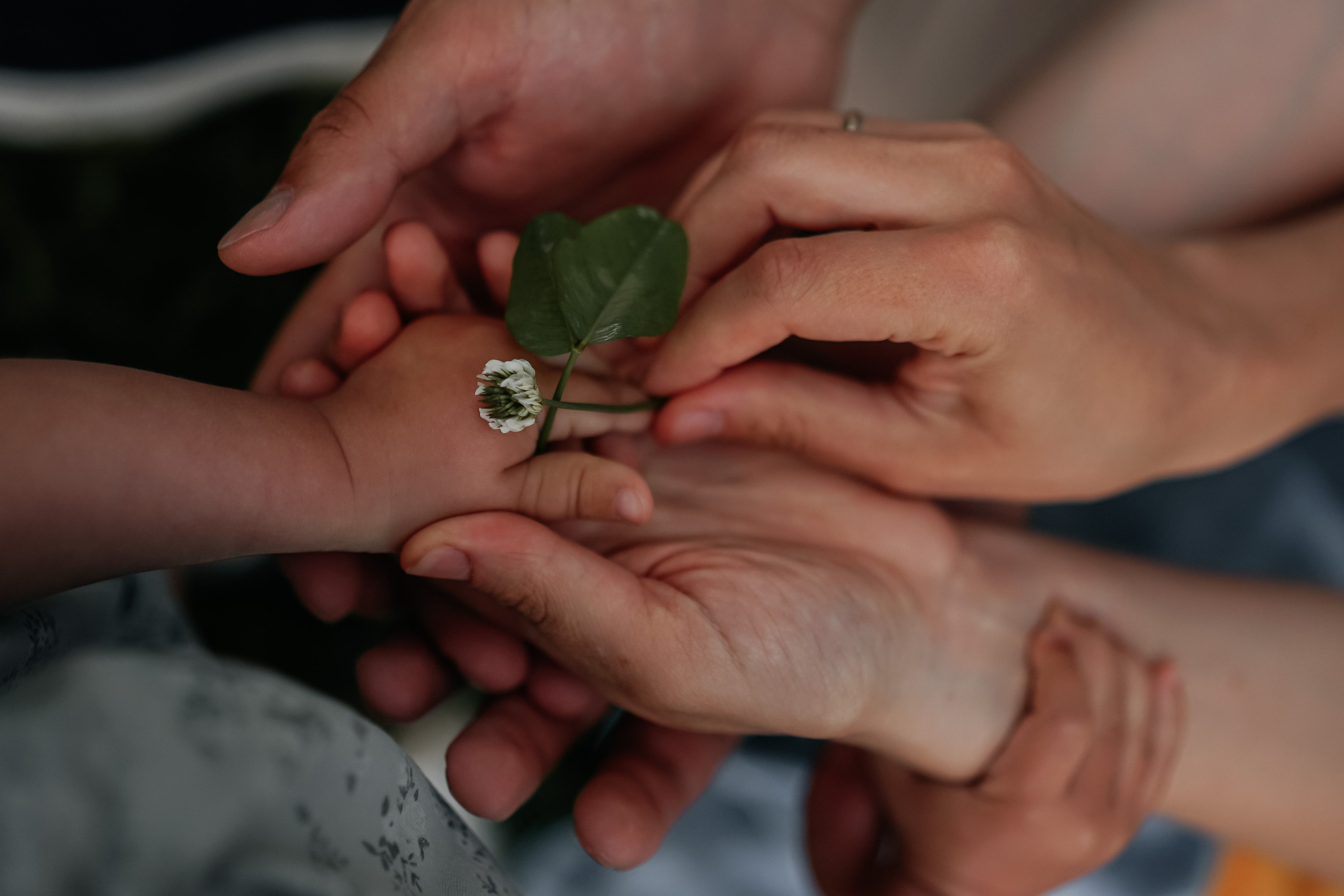 Семья Лизы и Миши. Главная