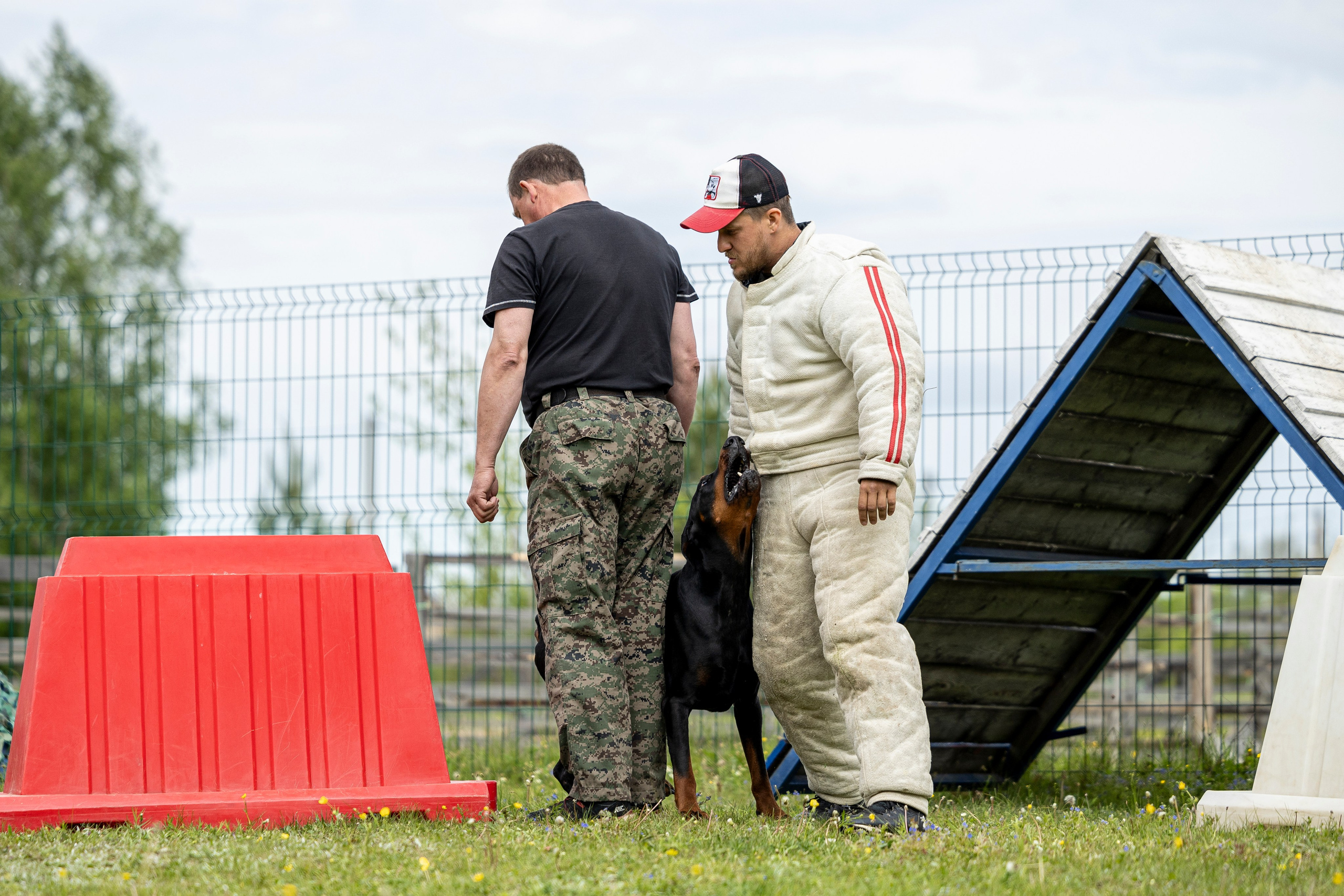Испытания по мондьорингу в Нижнем Новгороде. Фотограф-анималист Анна Маринич