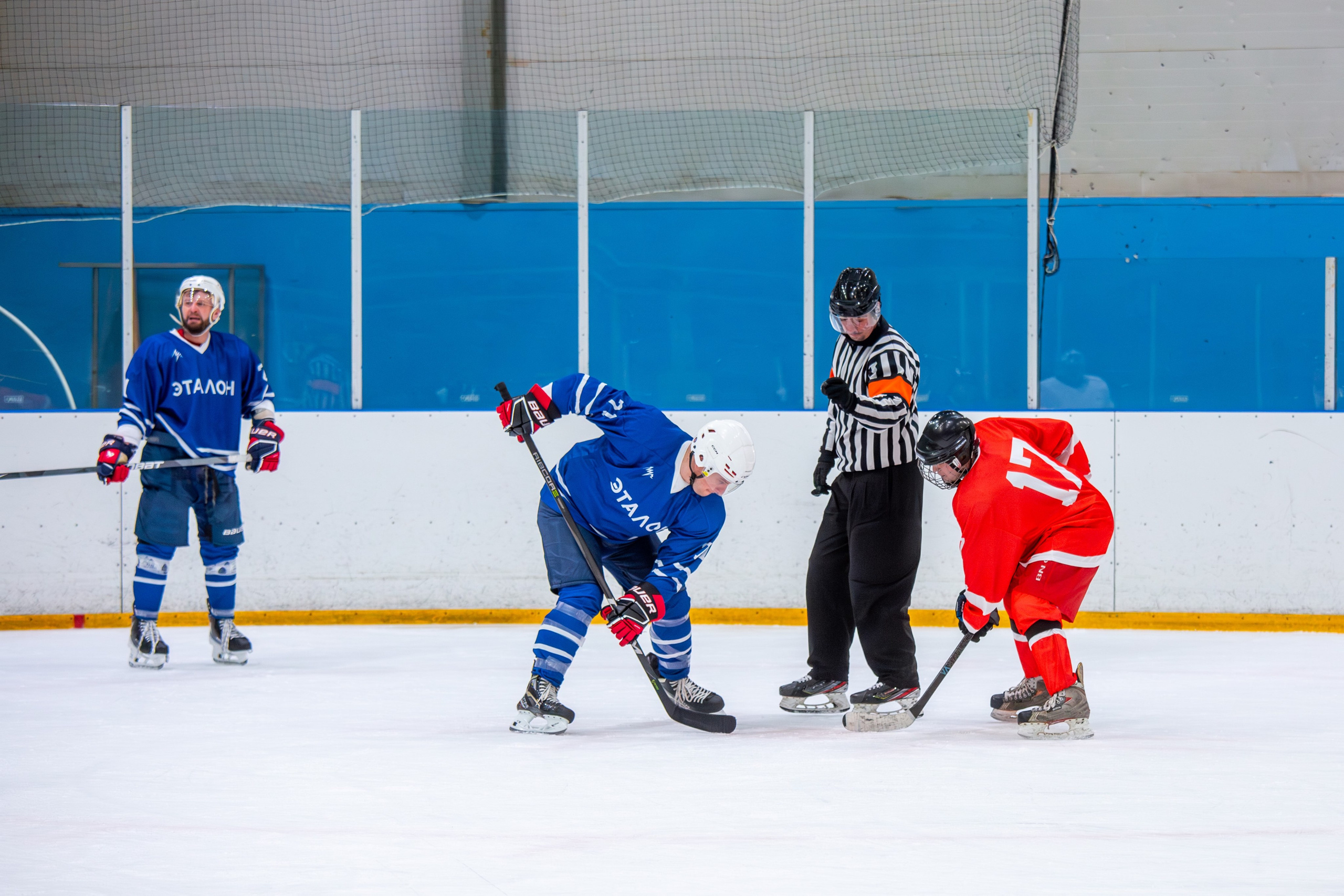 Чемпионат по хоккею. Репортажный, семейный, свадебный, портретный фотограф