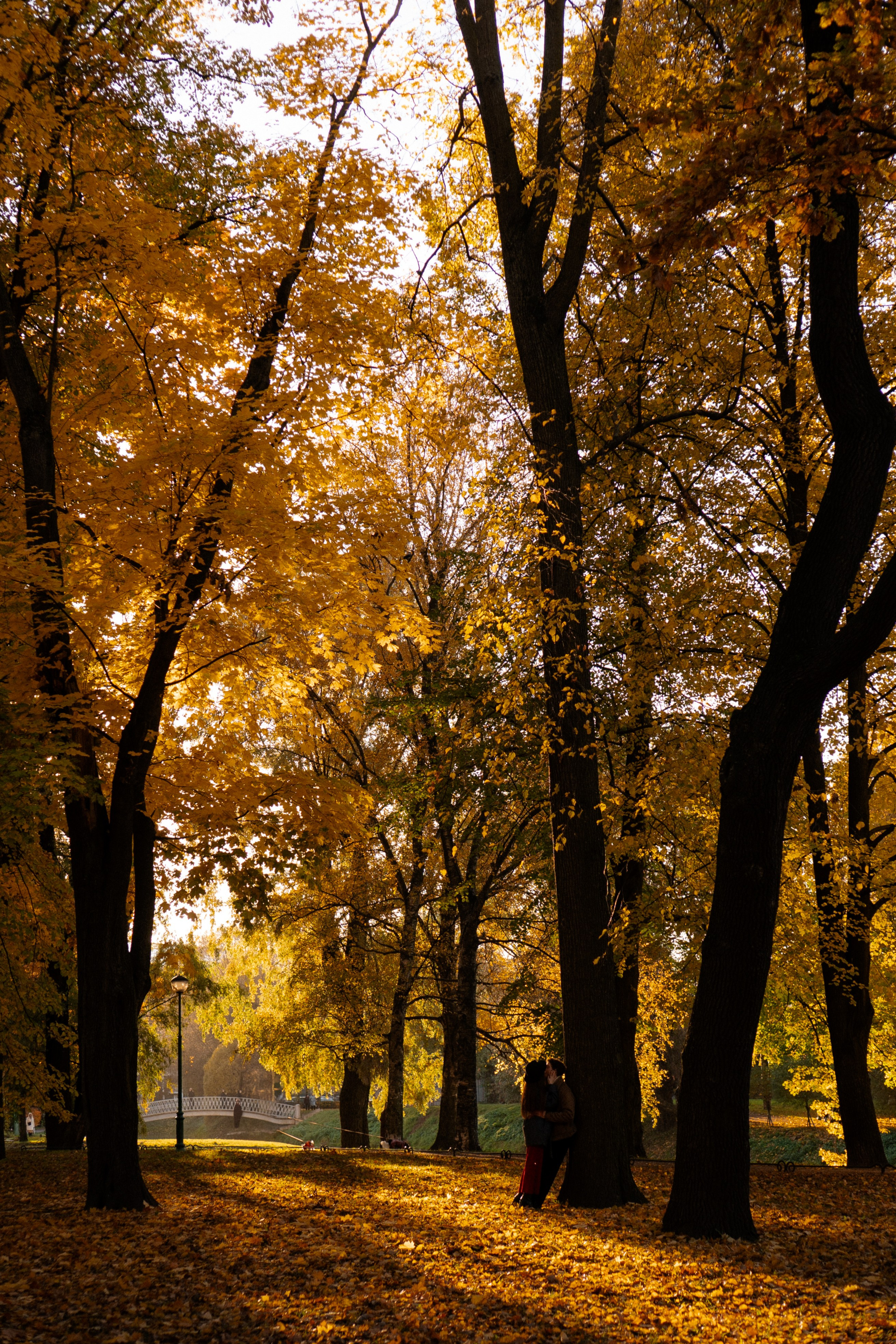 ОСЕННЯЯ ПРОГУЛКА. Профессиональный фотограф, Санкт-Петербург — Виктория Богомолова