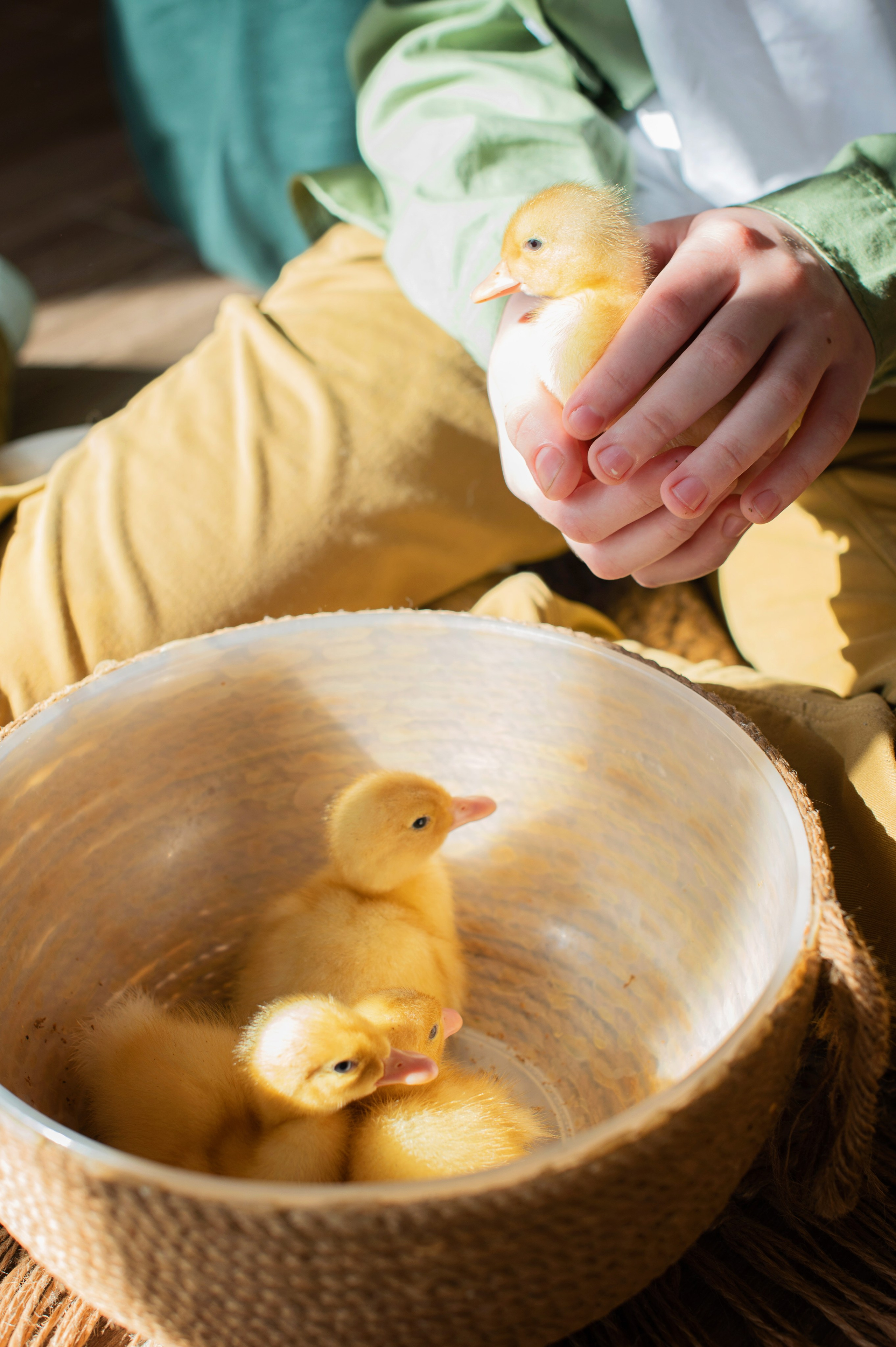 Уютная семейная съёмка в студии. Семейный и портретный фотограф Надежда Вылку