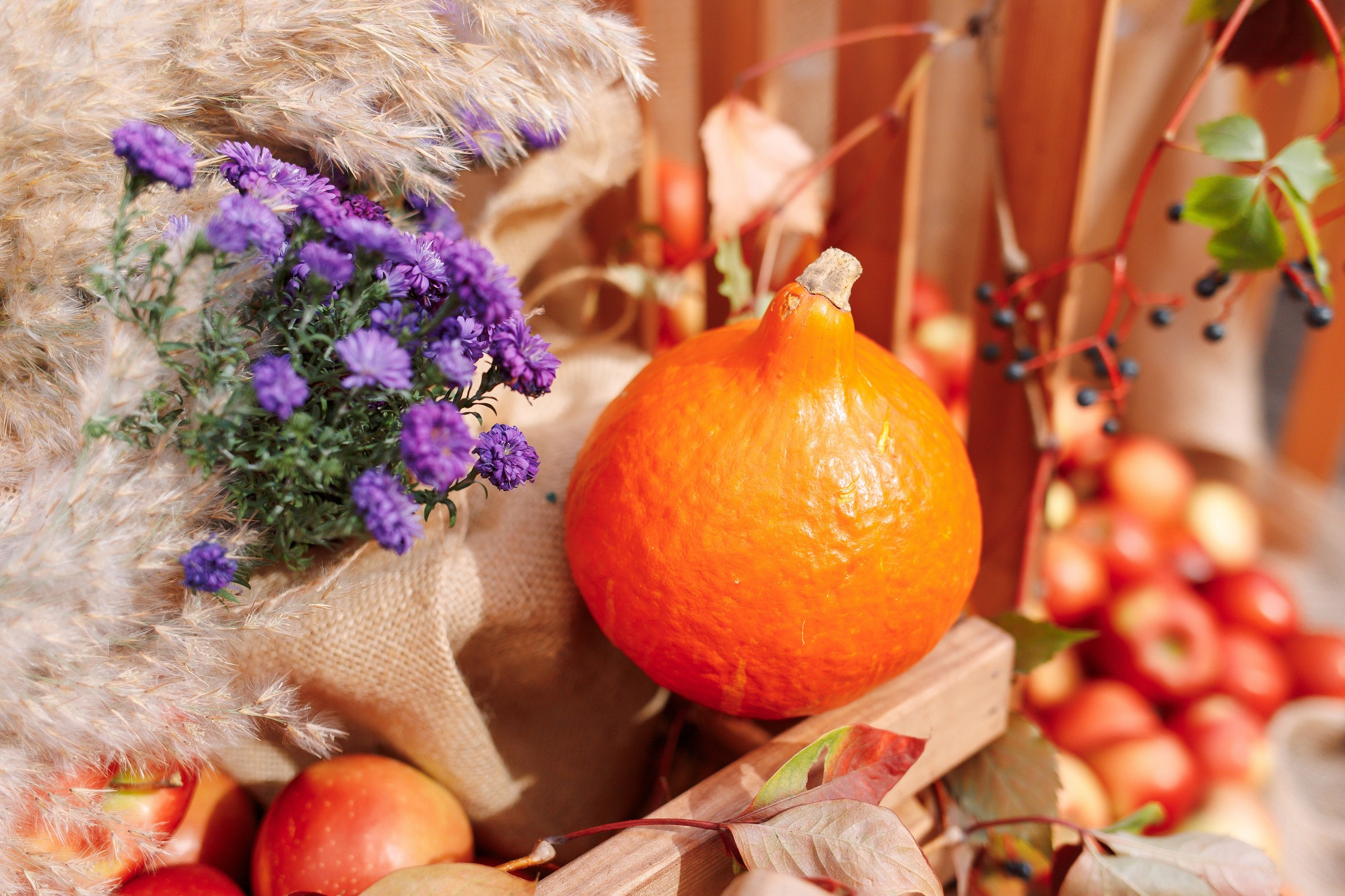 репортажный фотограф в краснодаре