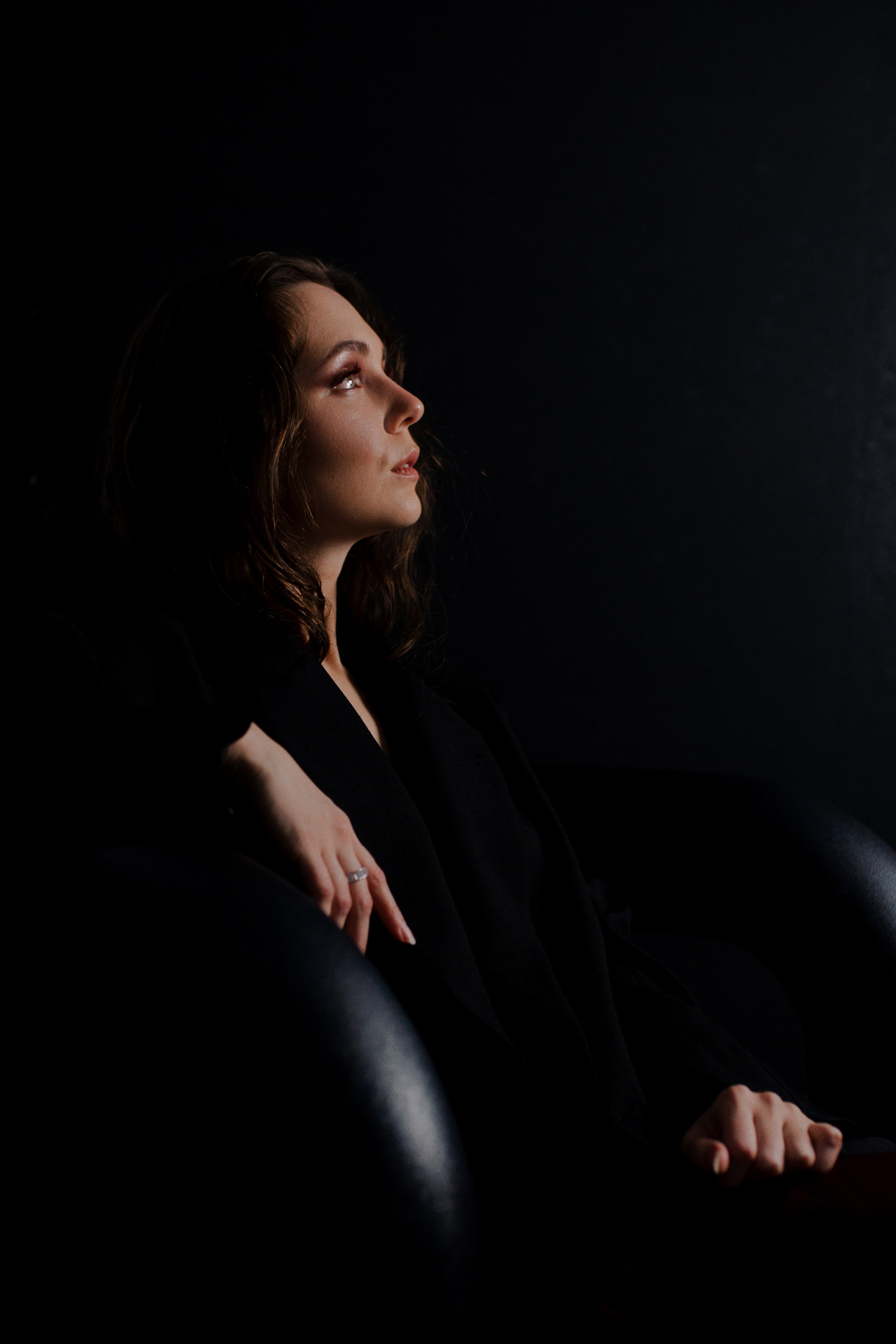 Ренессанс. Портфолио